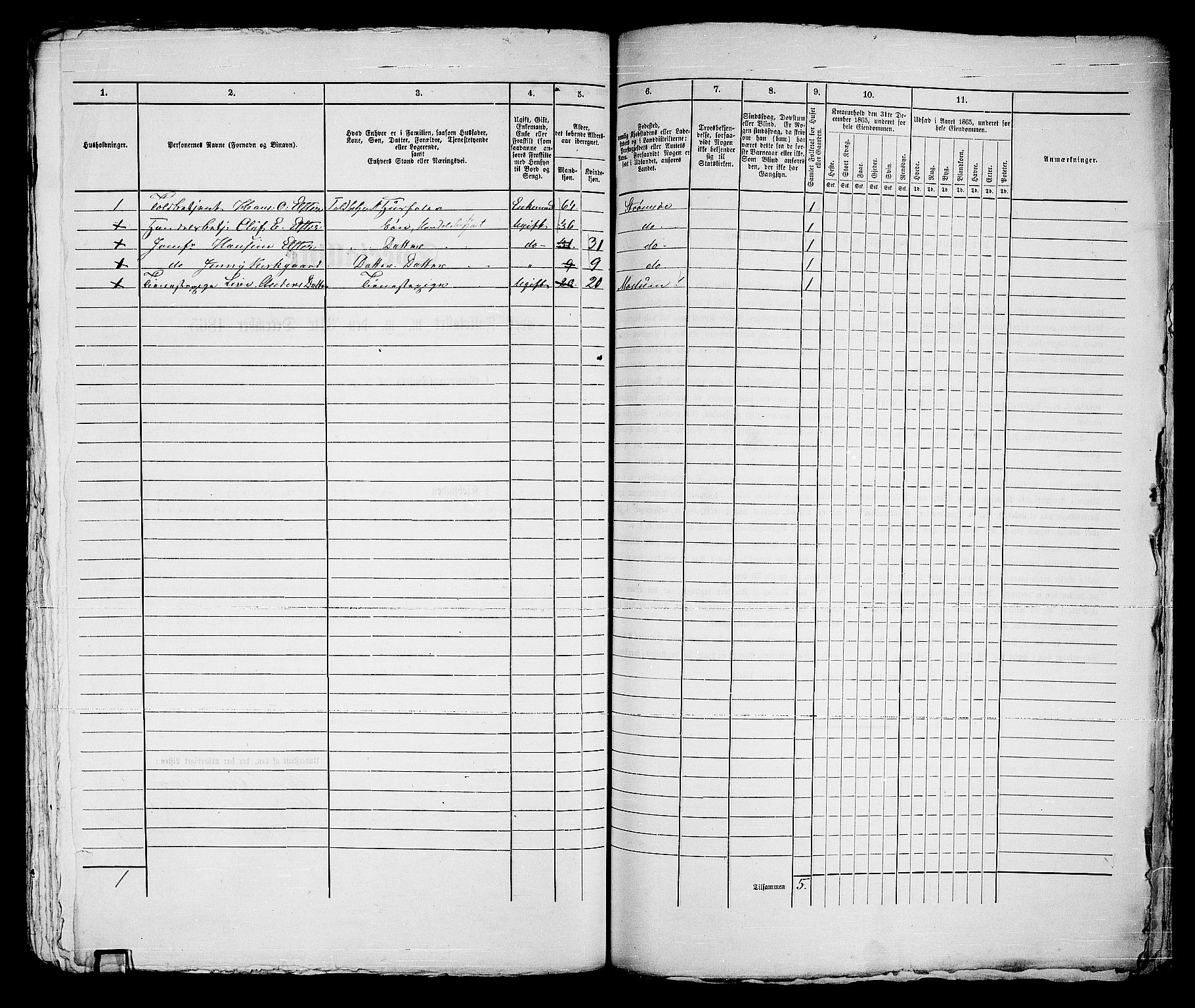 RA, Folketelling 1865 for 0602bP Strømsø prestegjeld i Drammen kjøpstad, 1865, s. 538