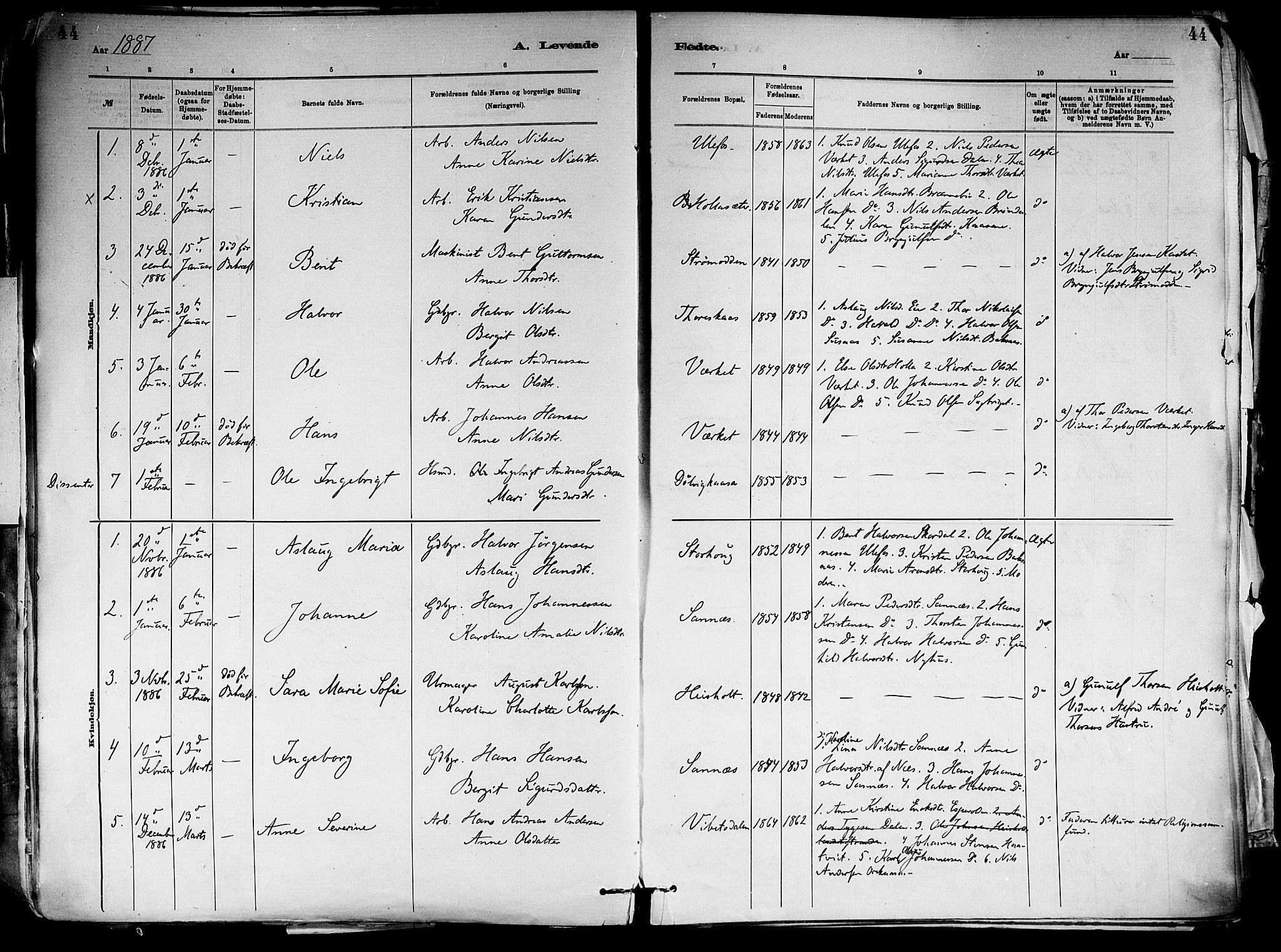 Holla kirkebøker, AV/SAKO-A-272/F/Fa/L0008: Ministerialbok nr. 8, 1882-1897, s. 44