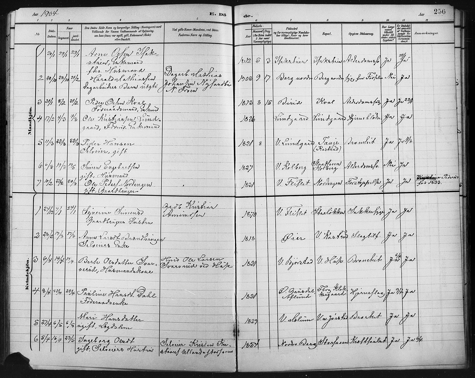 Fåberg prestekontor, AV/SAH-PREST-086/H/Ha/Hab/L0011: Klokkerbok nr. 11, 1901-1921, s. 256