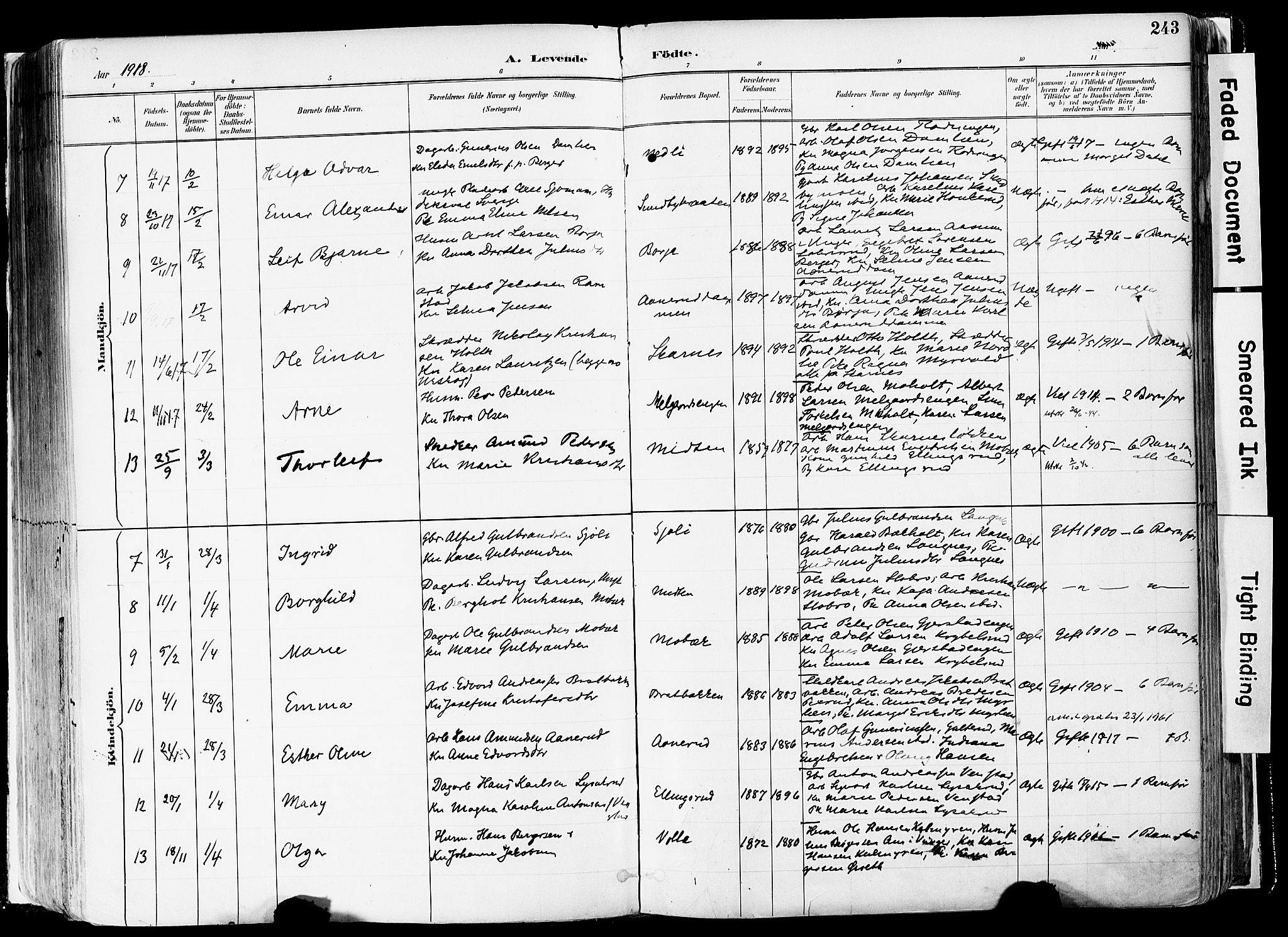 Sør-Odal prestekontor, SAH/PREST-030/H/Ha/Haa/L0006: Ministerialbok nr. 6, 1886-1931, s. 243