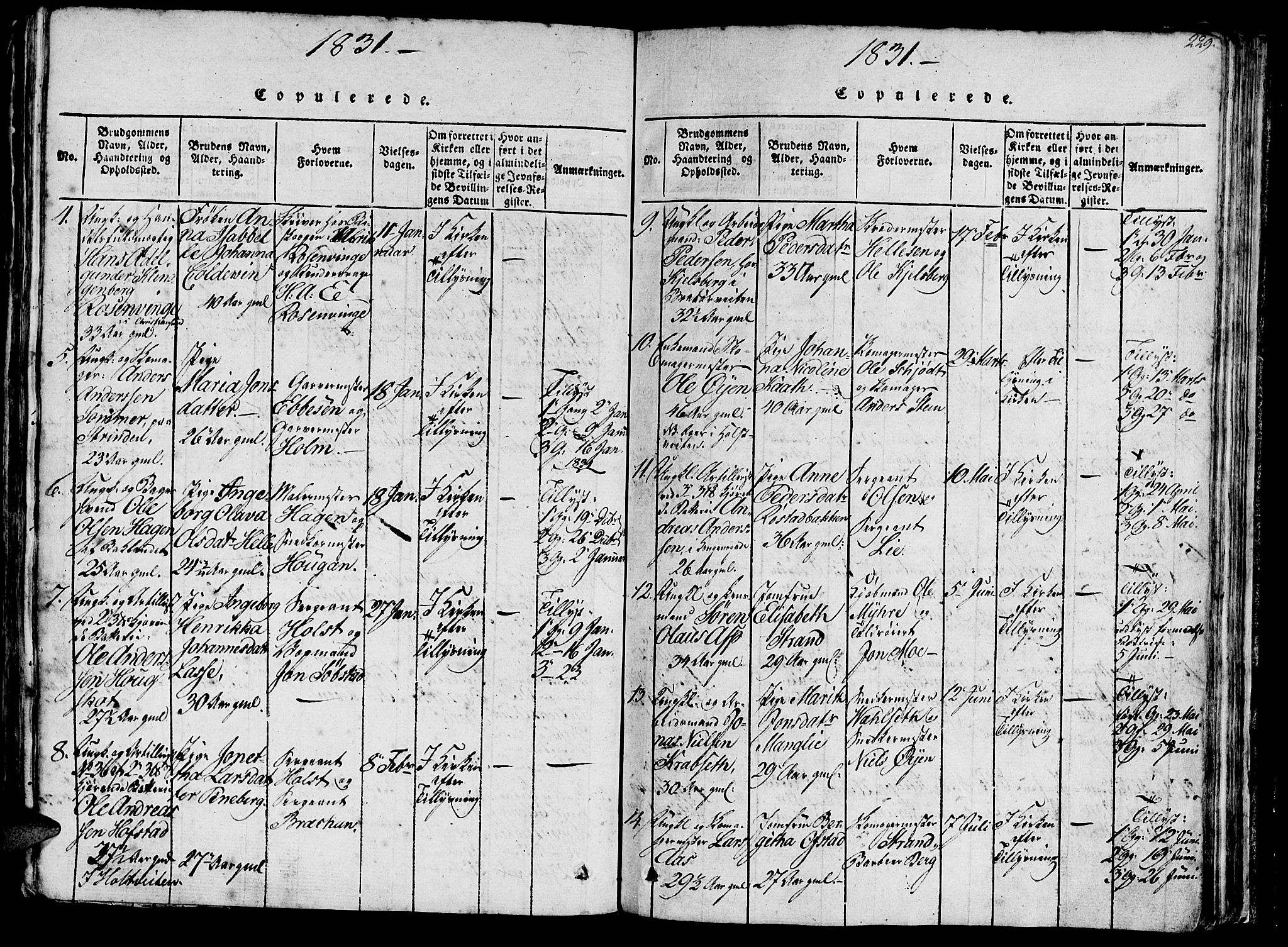 Ministerialprotokoller, klokkerbøker og fødselsregistre - Sør-Trøndelag, SAT/A-1456/602/L0135: Klokkerbok nr. 602C03, 1815-1832, s. 229