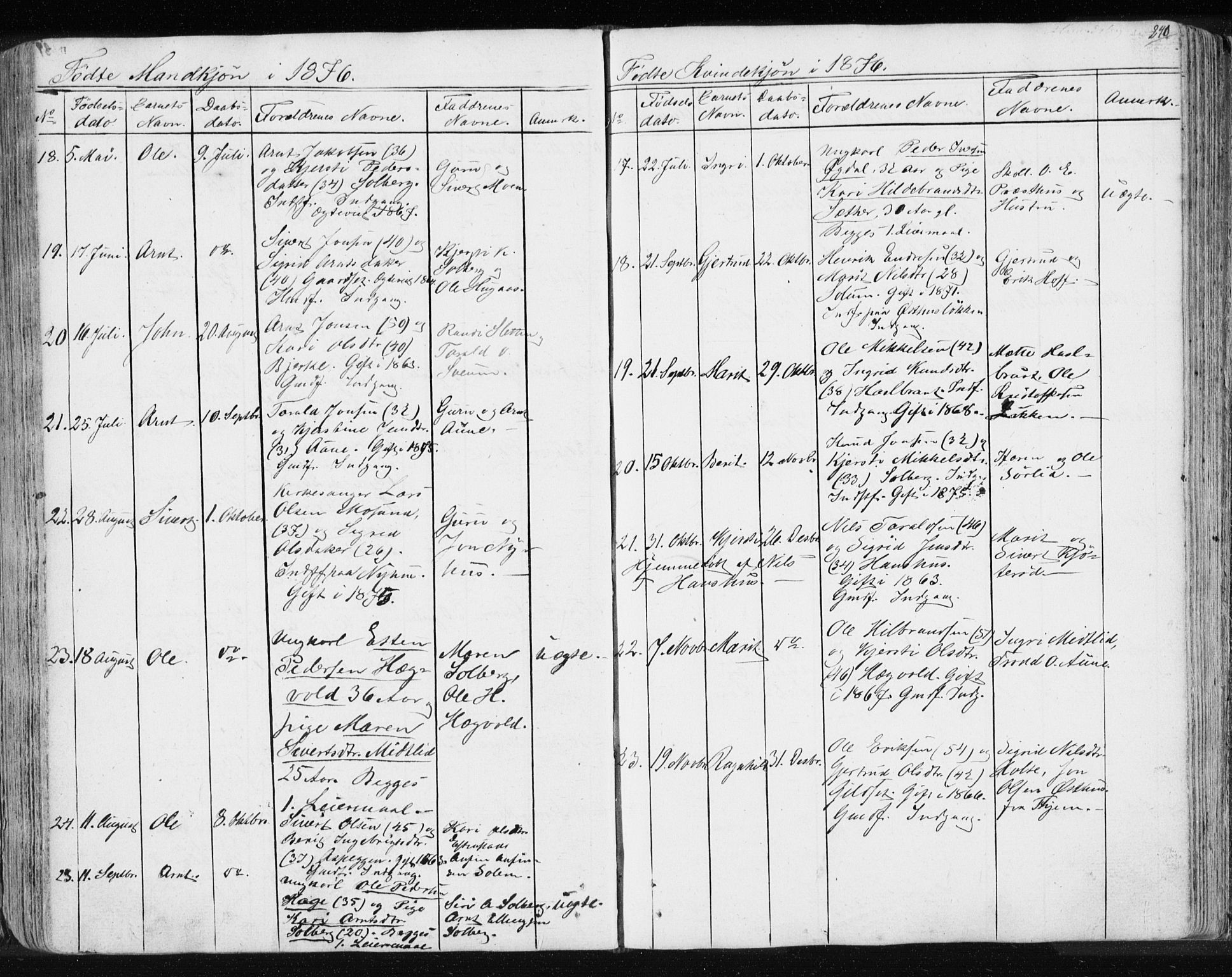 Ministerialprotokoller, klokkerbøker og fødselsregistre - Sør-Trøndelag, AV/SAT-A-1456/689/L1043: Klokkerbok nr. 689C02, 1816-1892, s. 240