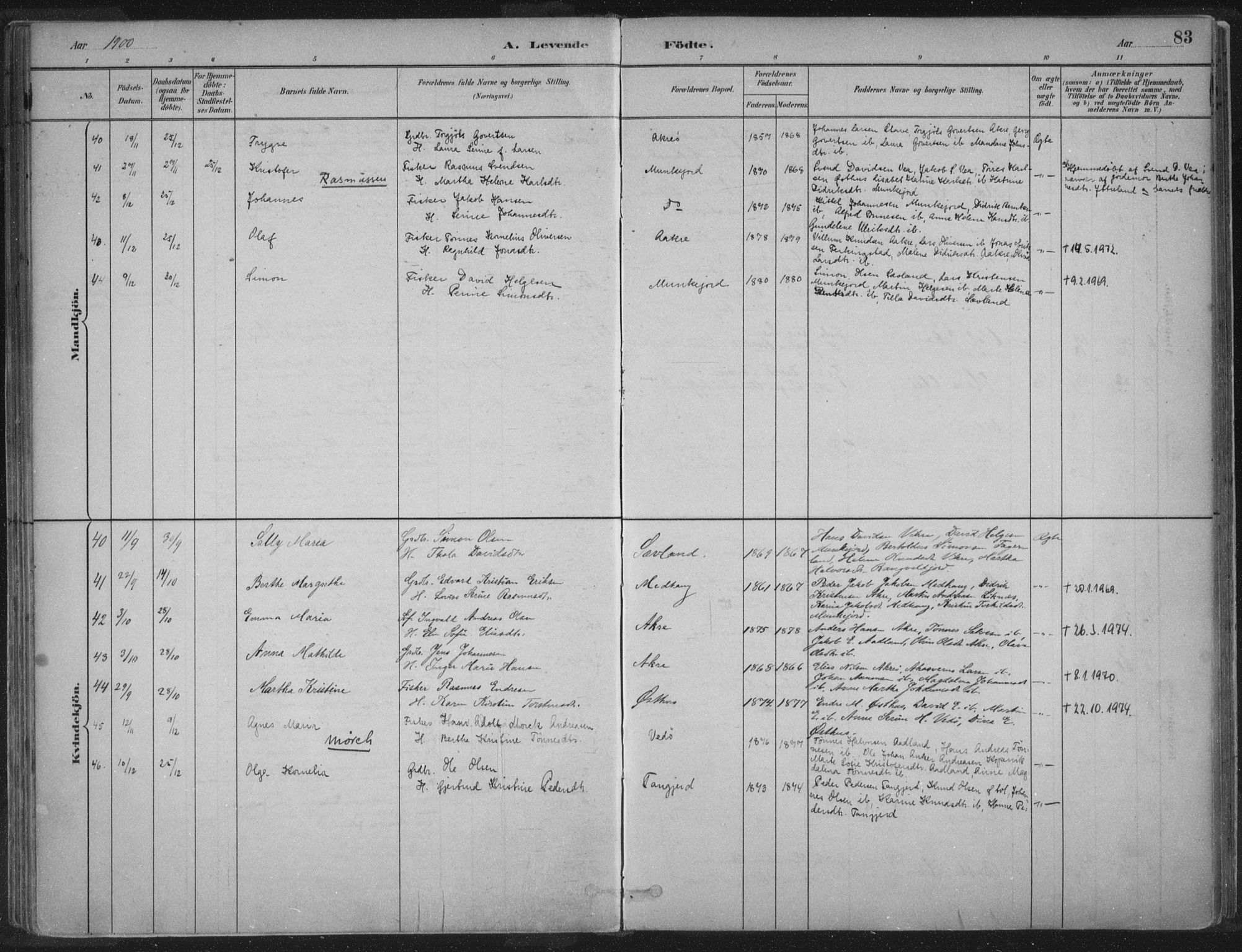 Kopervik sokneprestkontor, AV/SAST-A-101850/H/Ha/Haa/L0004: Ministerialbok nr. A 4, 1882-1905, s. 83