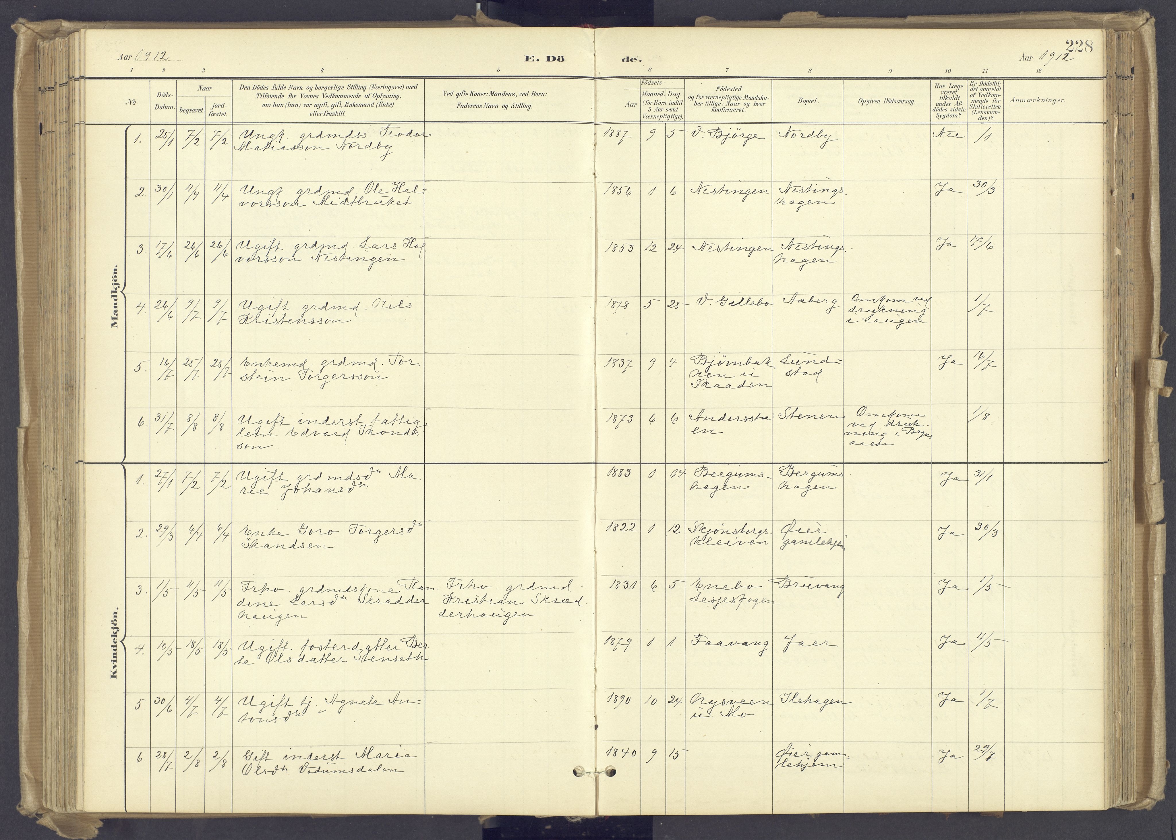 Øyer prestekontor, SAH/PREST-084/H/Ha/Haa/L0012: Ministerialbok nr. 12, 1897-1920, s. 228