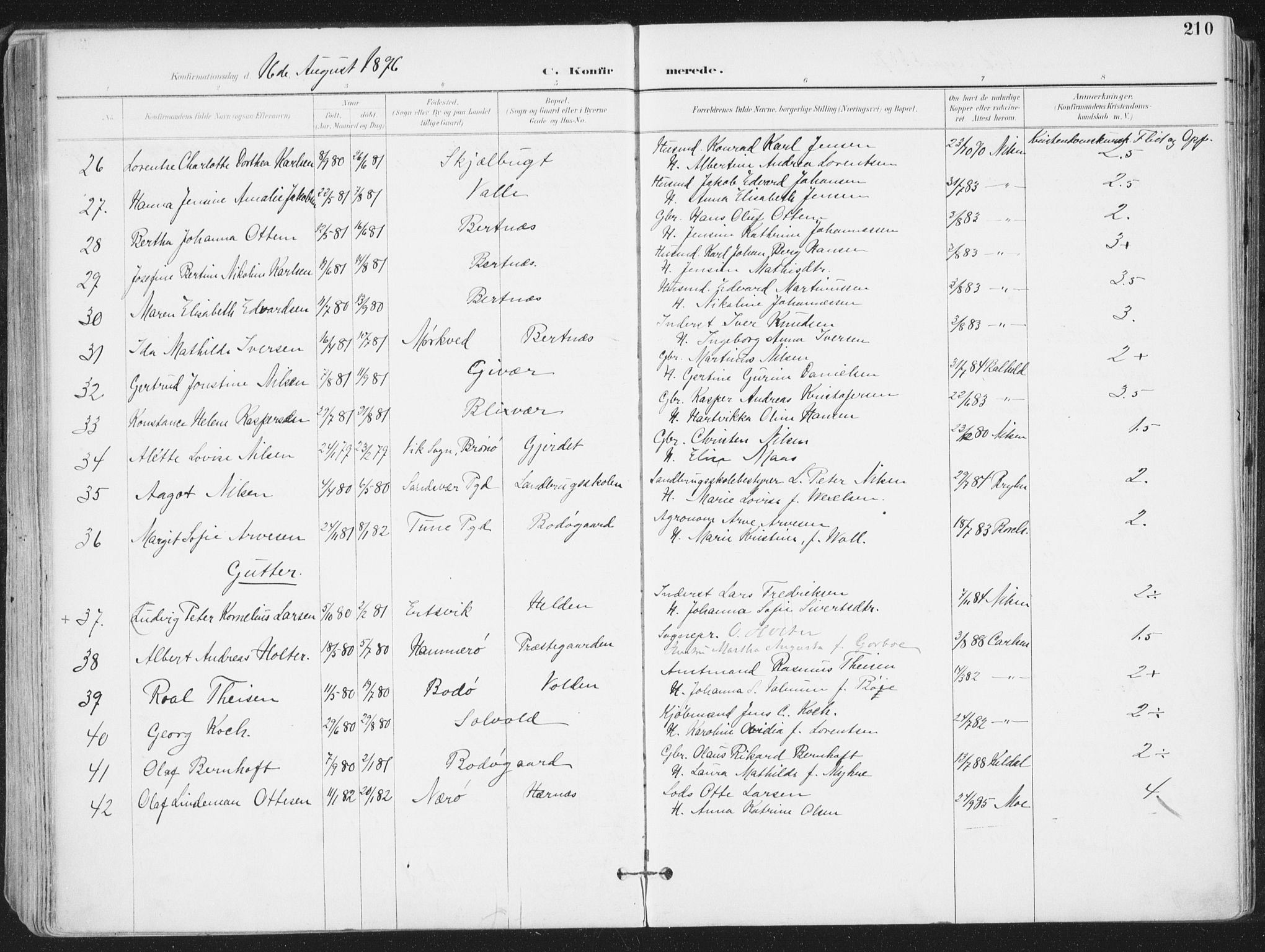 Ministerialprotokoller, klokkerbøker og fødselsregistre - Nordland, AV/SAT-A-1459/802/L0055: Ministerialbok nr. 802A02, 1894-1915, s. 210