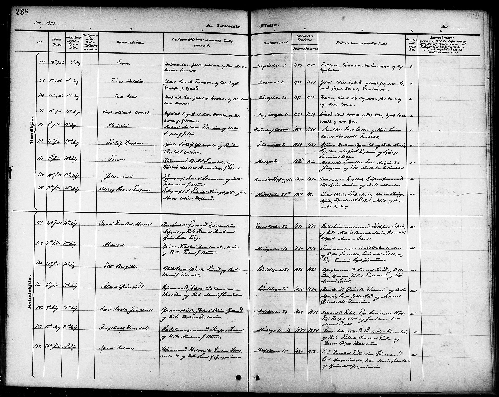 Domkirken sokneprestkontor, AV/SAST-A-101812/001/30/30BB/L0016: Klokkerbok nr. B 16, 1891-1902, s. 238