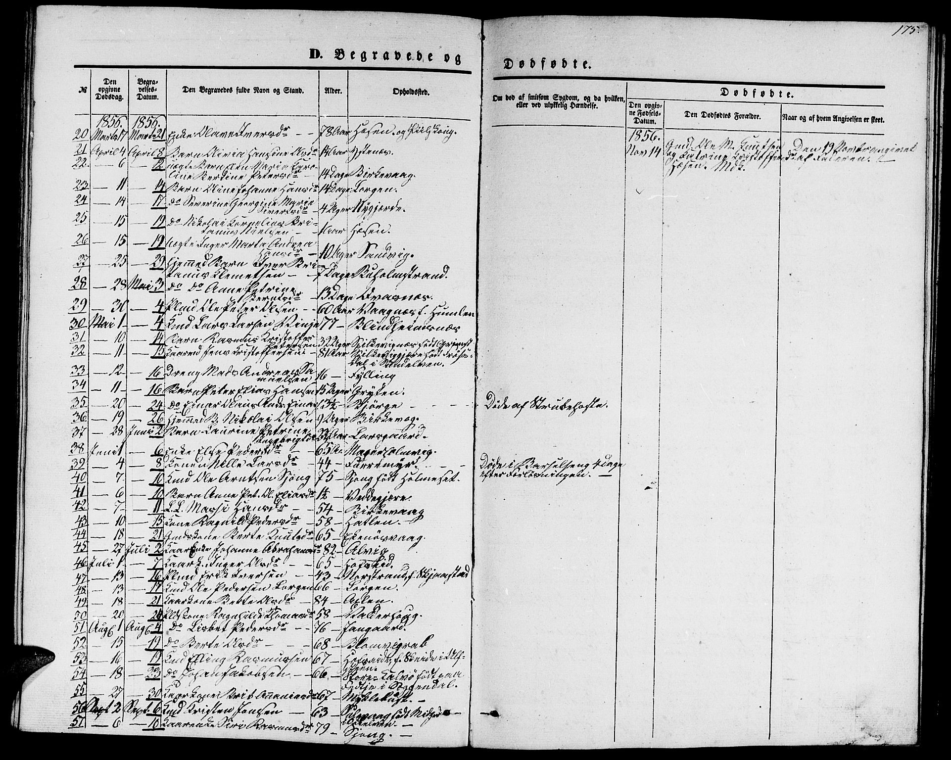 Ministerialprotokoller, klokkerbøker og fødselsregistre - Møre og Romsdal, AV/SAT-A-1454/528/L0427: Klokkerbok nr. 528C08, 1855-1864, s. 175