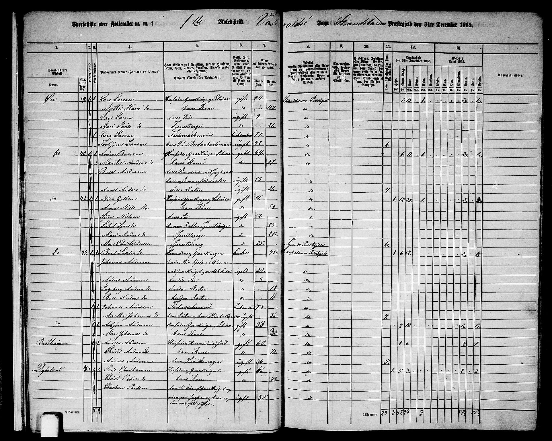 RA, Folketelling 1865 for 1226P Strandebarm prestegjeld, 1865, s. 13