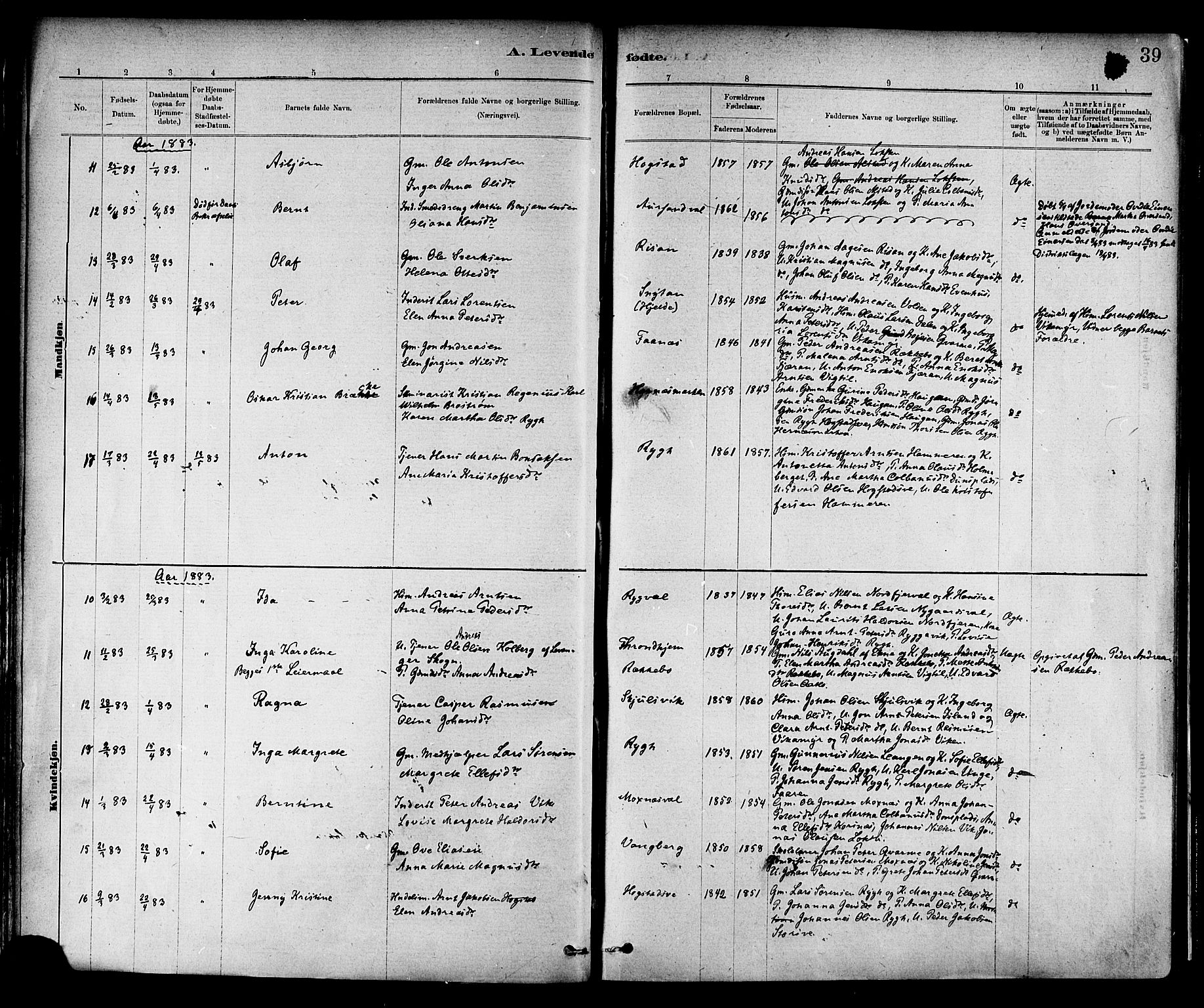Ministerialprotokoller, klokkerbøker og fødselsregistre - Nord-Trøndelag, AV/SAT-A-1458/713/L0120: Ministerialbok nr. 713A09, 1878-1887, s. 39