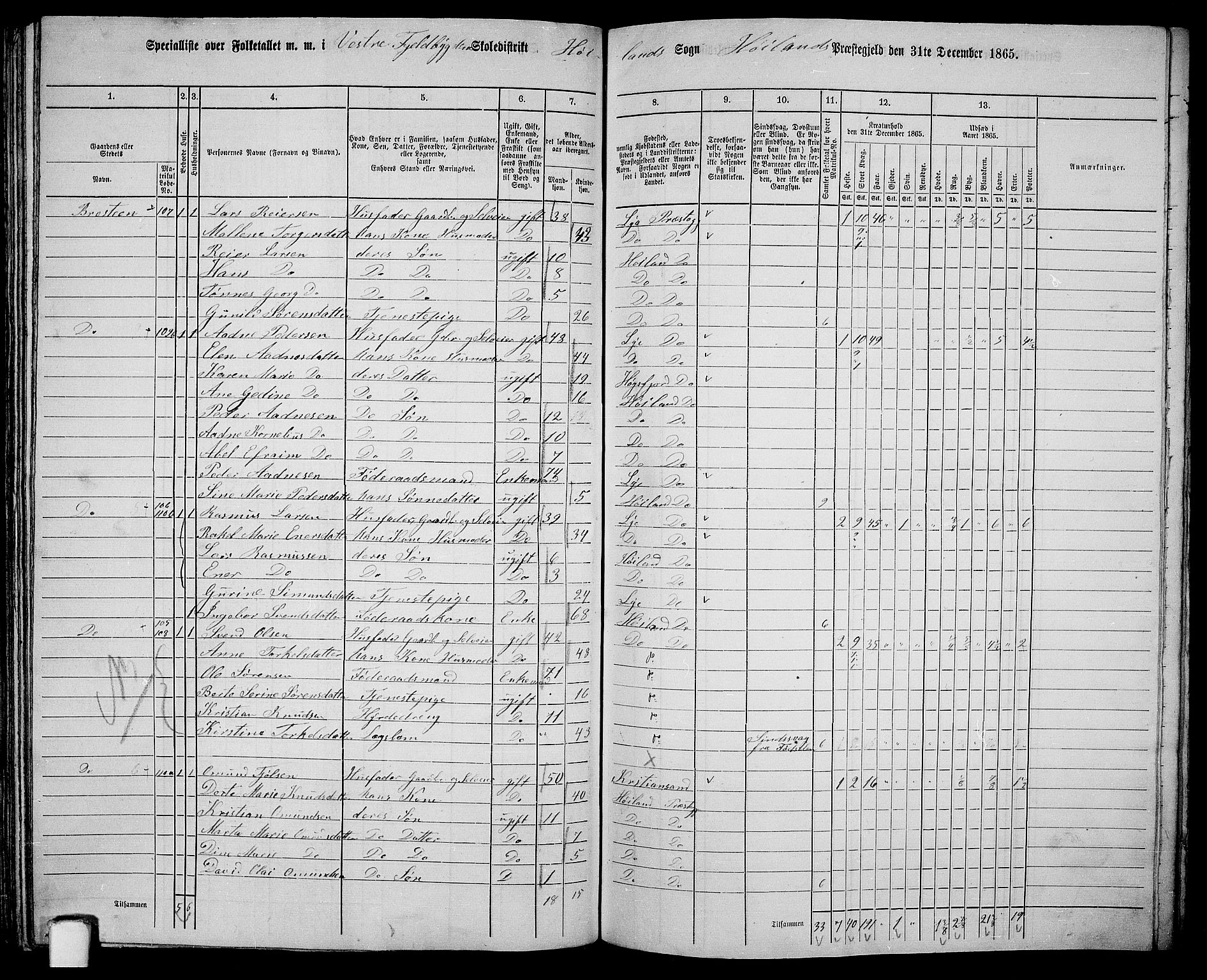 RA, Folketelling 1865 for 1123P Høyland prestegjeld, 1865, s. 105