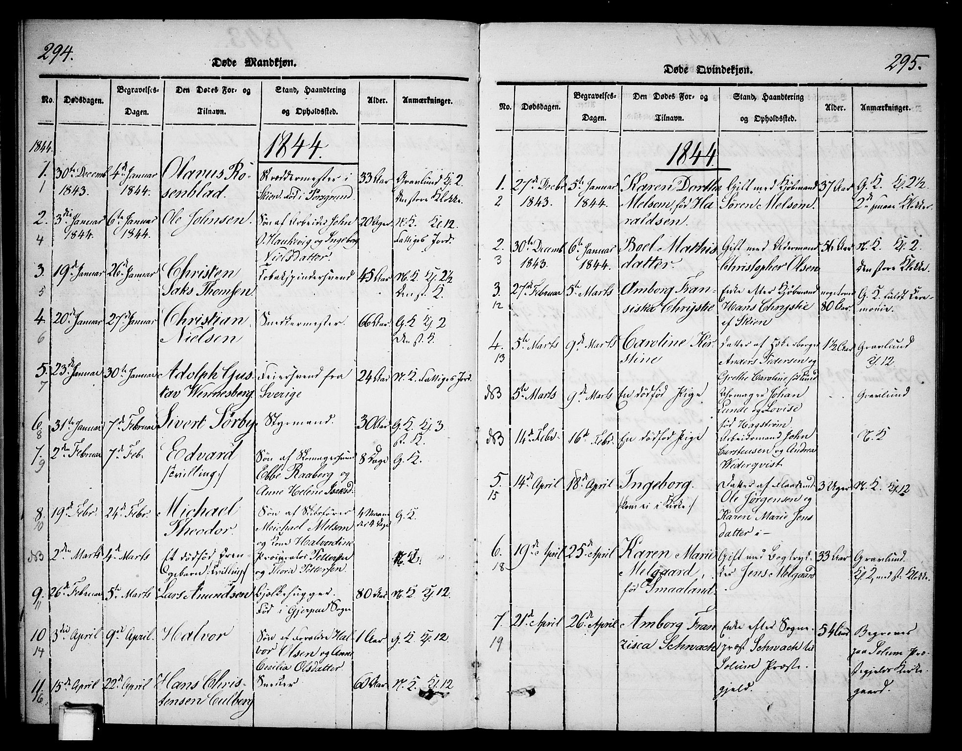 Skien kirkebøker, AV/SAKO-A-302/G/Ga/L0003: Klokkerbok nr. 3, 1843-1847, s. 294-295