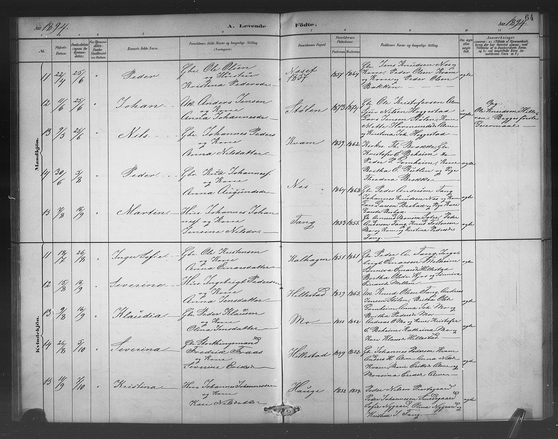 Hafslo sokneprestembete, AV/SAB-A-80301/H/Hab/Habb/L0001: Klokkerbok nr. B 1, 1882-1908, s. 64