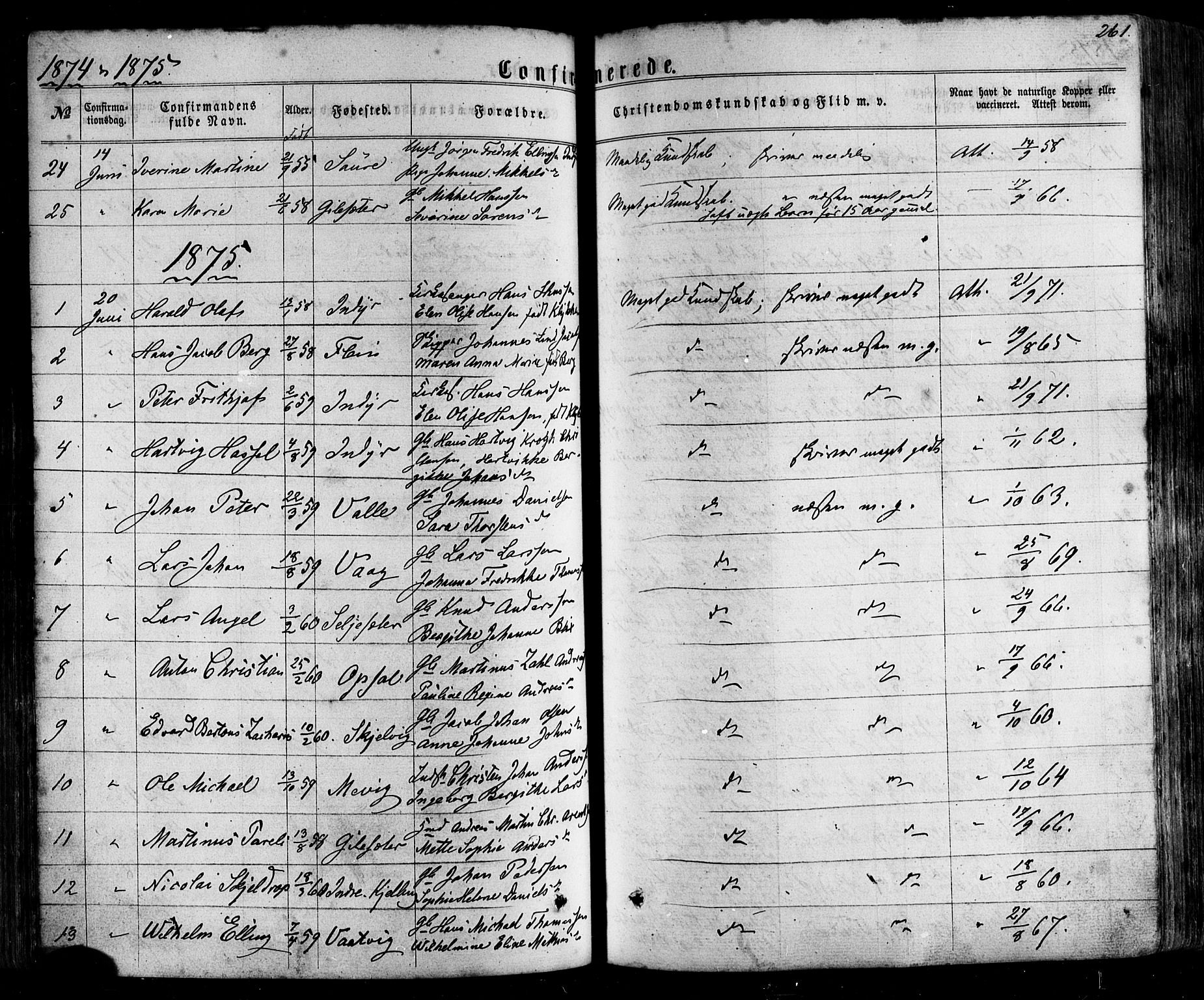 Ministerialprotokoller, klokkerbøker og fødselsregistre - Nordland, AV/SAT-A-1459/805/L0098: Ministerialbok nr. 805A05, 1862-1879, s. 261