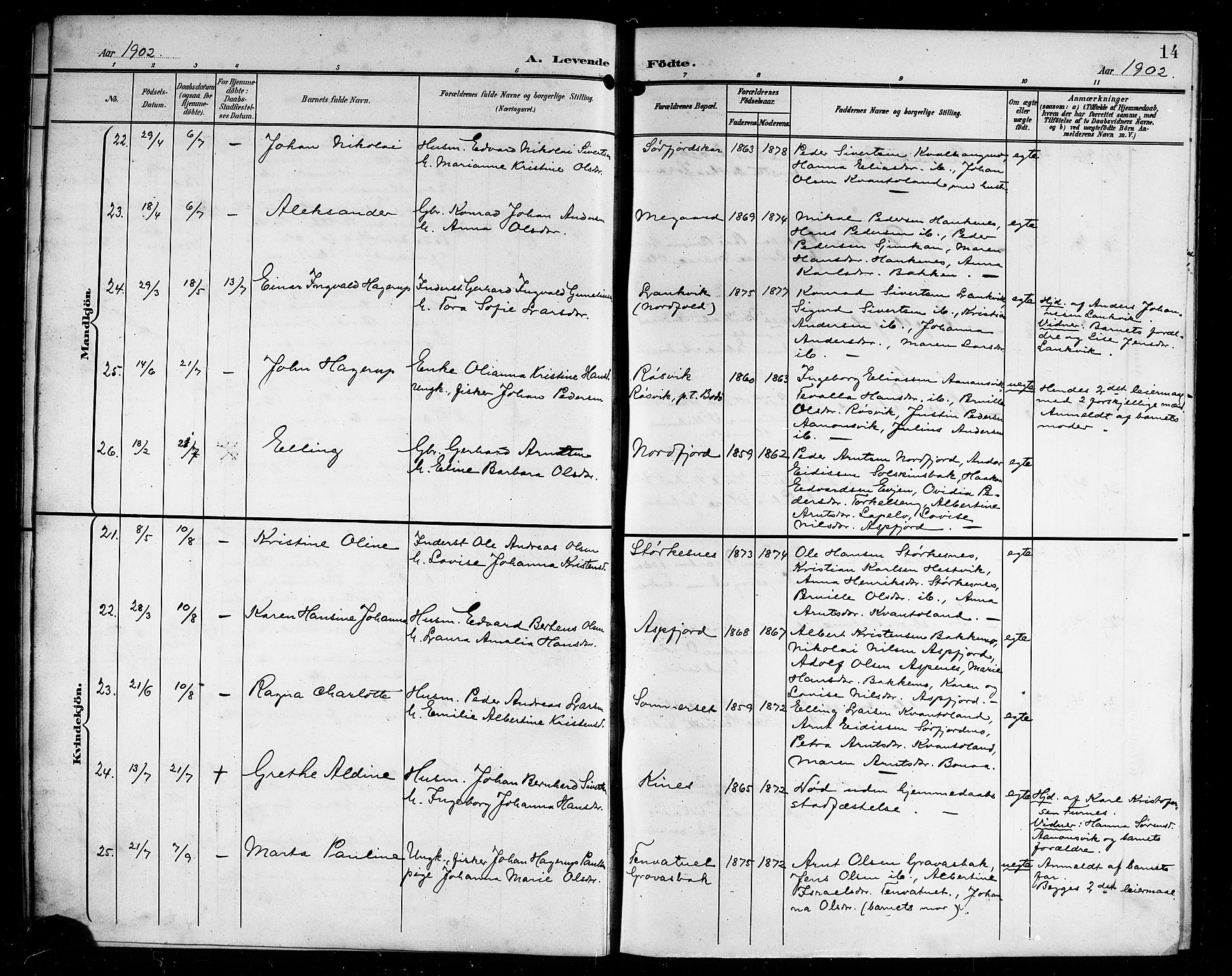 Ministerialprotokoller, klokkerbøker og fødselsregistre - Nordland, AV/SAT-A-1459/854/L0786: Klokkerbok nr. 854C02, 1901-1912, s. 14