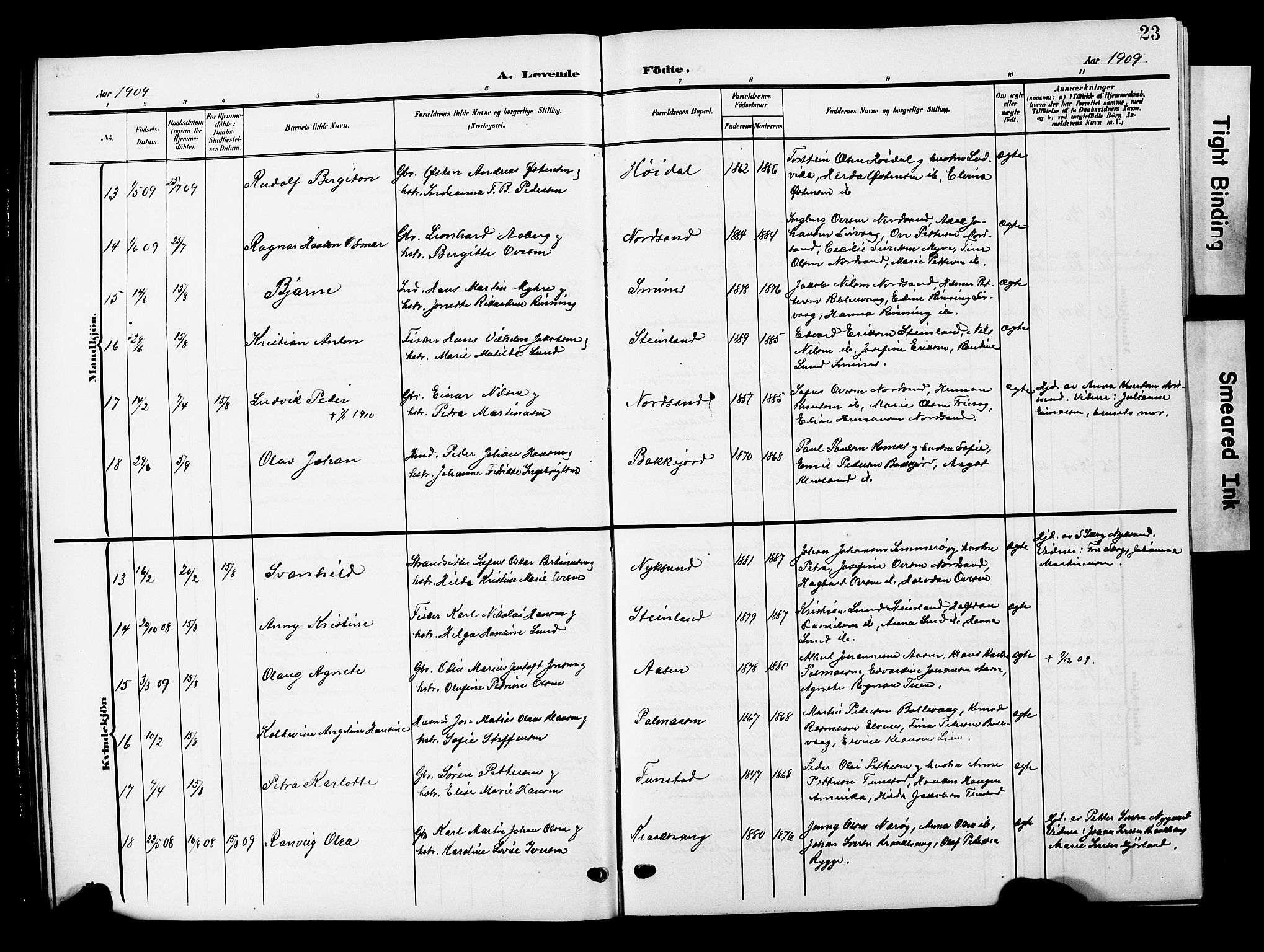 Ministerialprotokoller, klokkerbøker og fødselsregistre - Nordland, AV/SAT-A-1459/893/L1350: Klokkerbok nr. 893C05, 1906-1927, s. 23