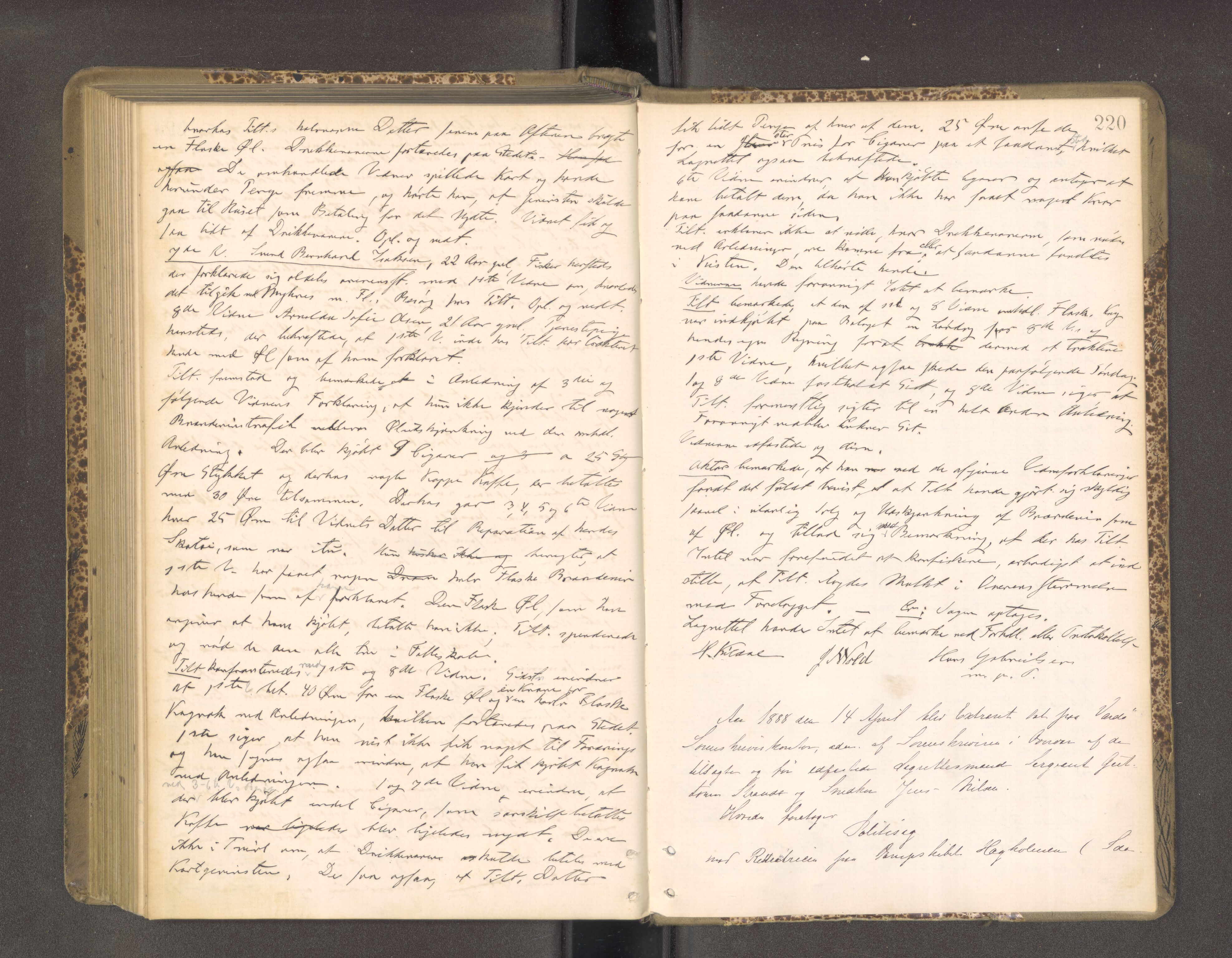 Vardø fogderi-sorenskriveri, AV/SATØ-S-0060/1/J/Ja/Jab/L0129: Ektrarettsprotokoller No. 4, 1885-1888, s. 219b-220a