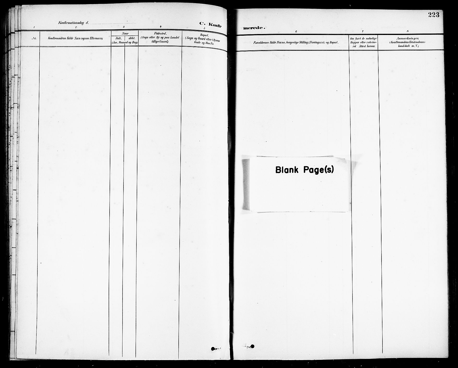 Ministerialprotokoller, klokkerbøker og fødselsregistre - Nordland, AV/SAT-A-1459/838/L0559: Klokkerbok nr. 838C06, 1893-1910, s. 223