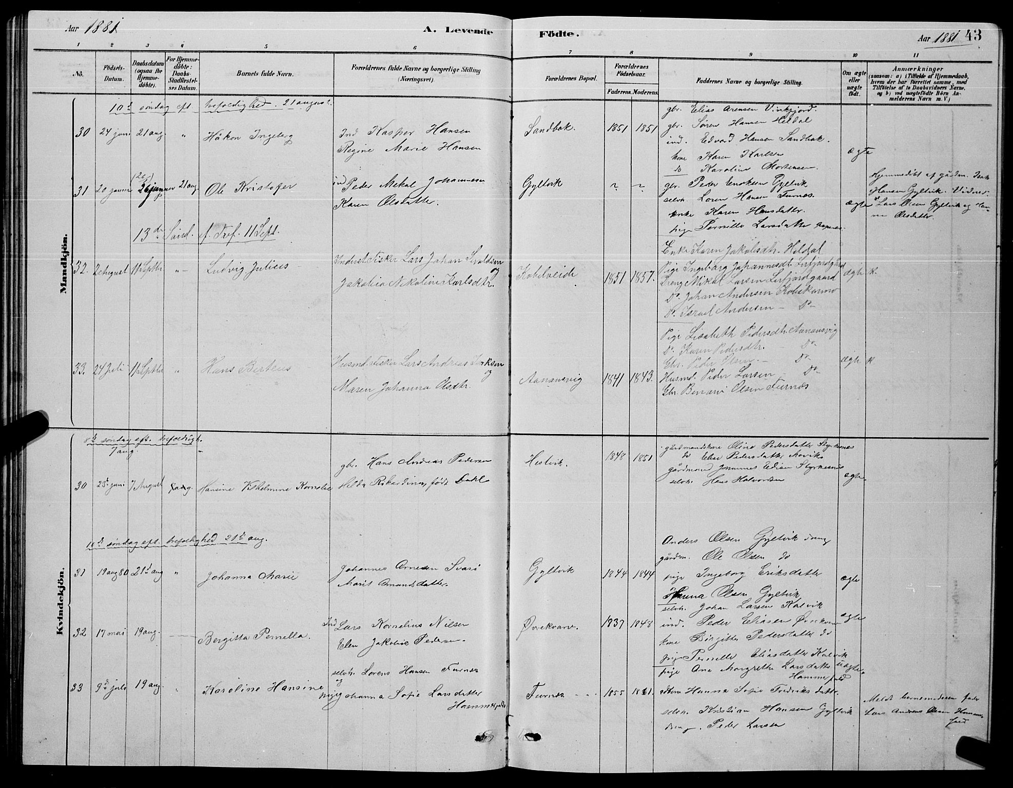 Ministerialprotokoller, klokkerbøker og fødselsregistre - Nordland, AV/SAT-A-1459/853/L0776: Klokkerbok nr. 853C04, 1878-1889, s. 43