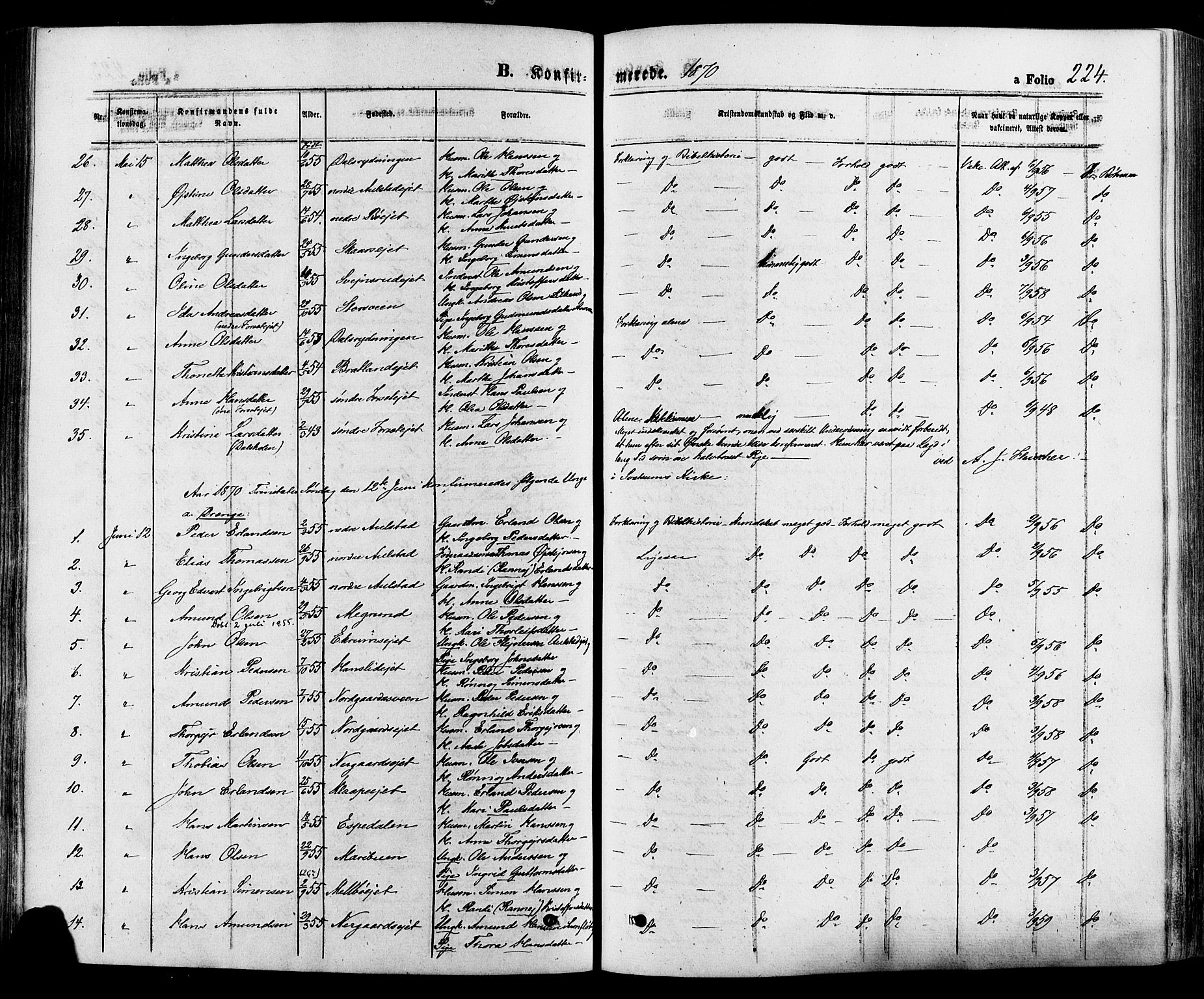 Gausdal prestekontor, SAH/PREST-090/H/Ha/Haa/L0010: Ministerialbok nr. 10, 1867-1886, s. 224