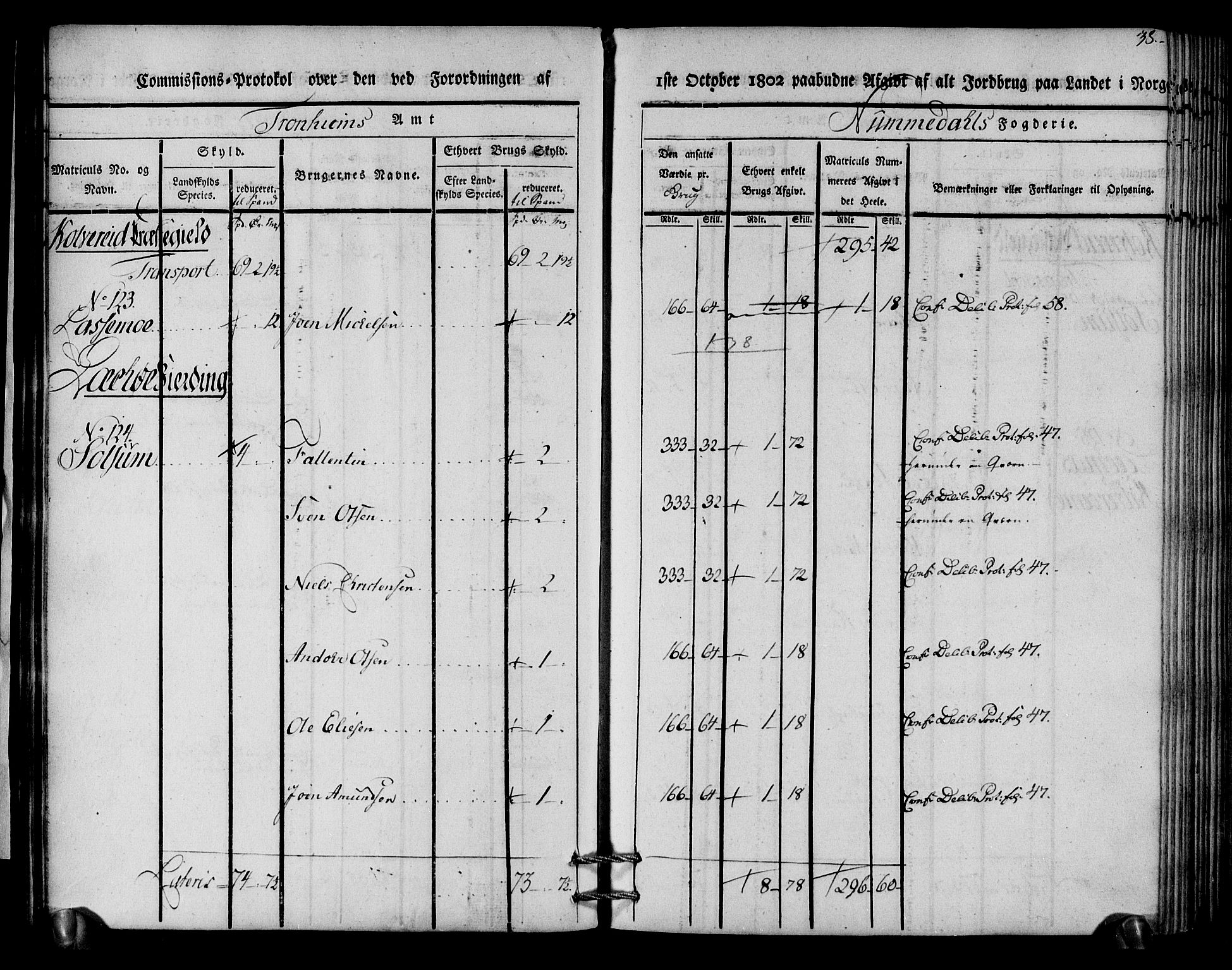 Rentekammeret inntil 1814, Realistisk ordnet avdeling, RA/EA-4070/N/Ne/Nea/L0154: Namdalen fogderi. Kommisjonsprotokoll, 1803, s. 39