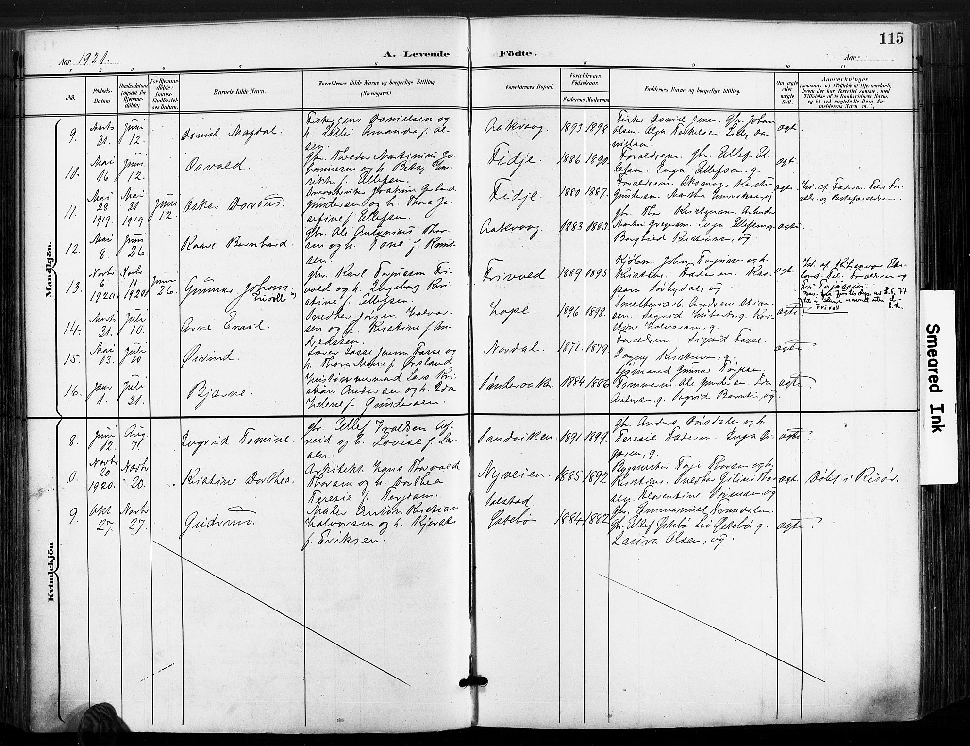 Søndeled sokneprestkontor, AV/SAK-1111-0038/F/Fa/L0006: Ministerialbok nr. A 6, 1900-1922, s. 115