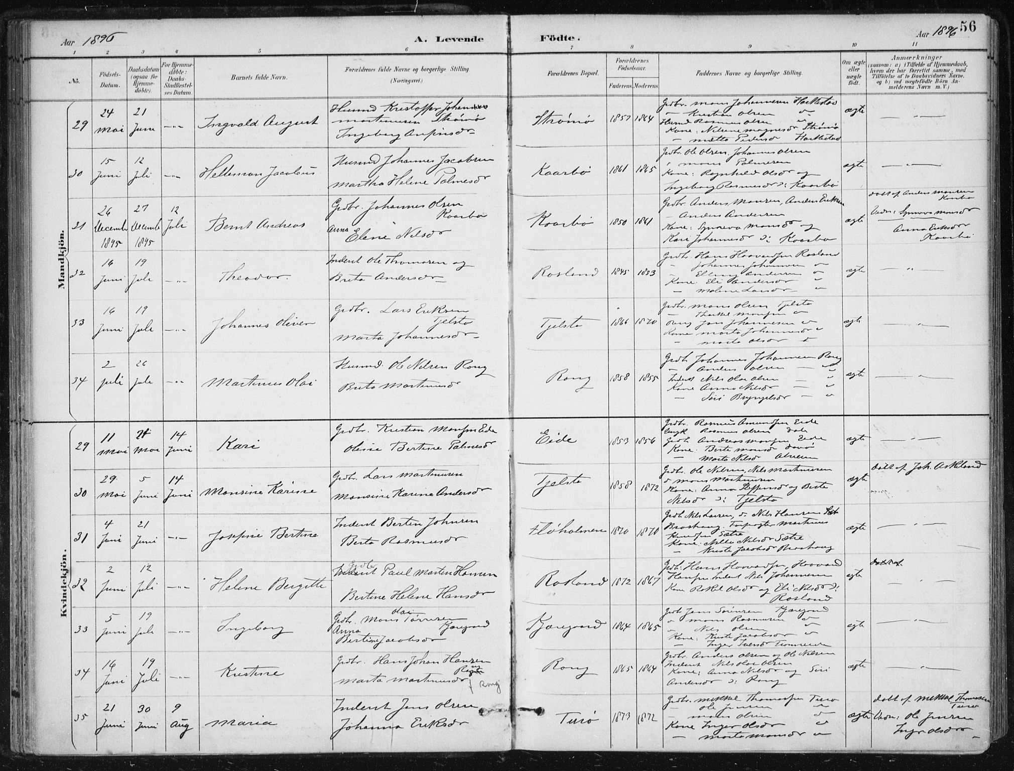 Herdla Sokneprestembete, AV/SAB-A-75701/H/Haa: Ministerialbok nr. A 4, 1891-1905, s. 56