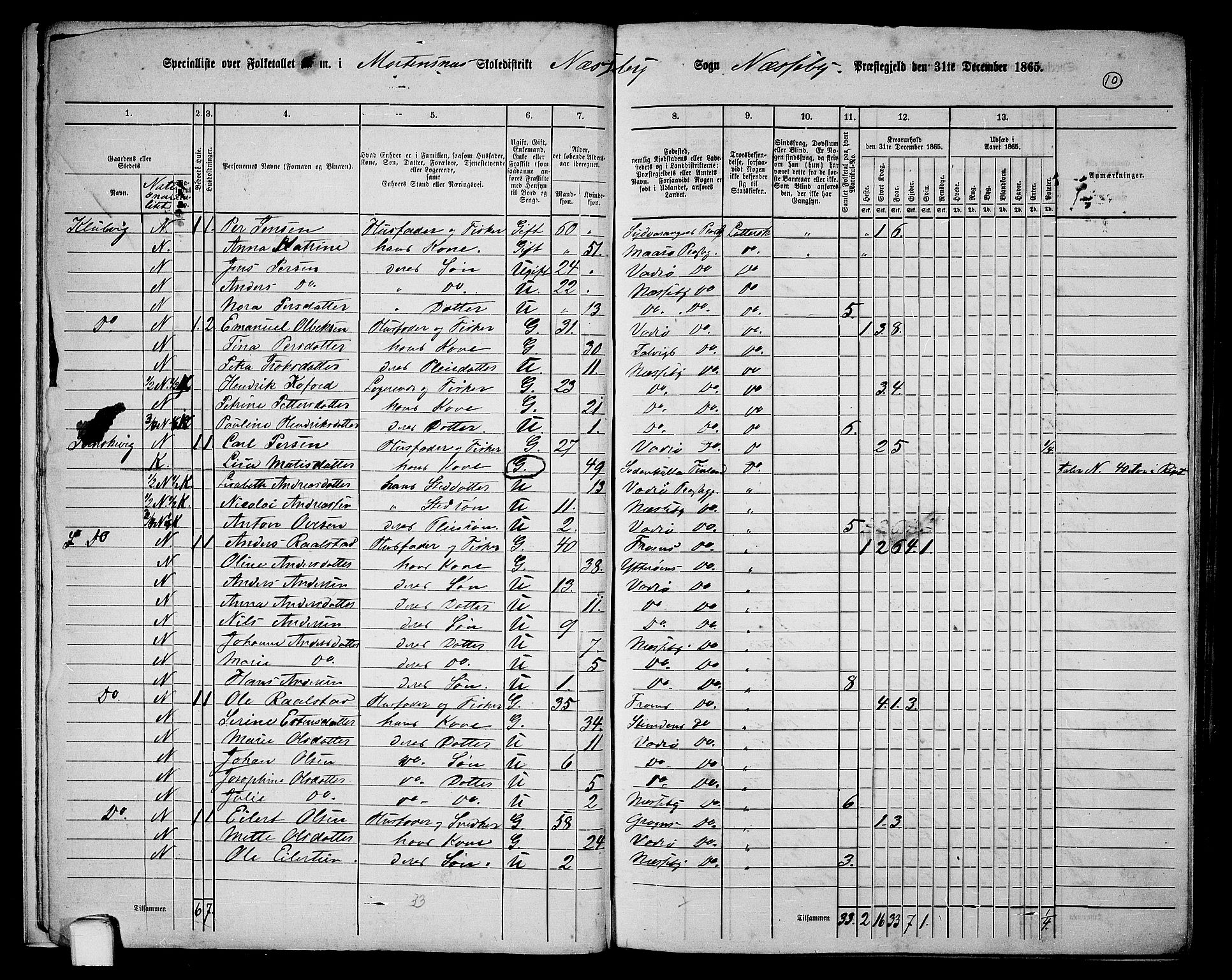 RA, Folketelling 1865 for 2027P Nesseby prestegjeld, 1865, s. 10