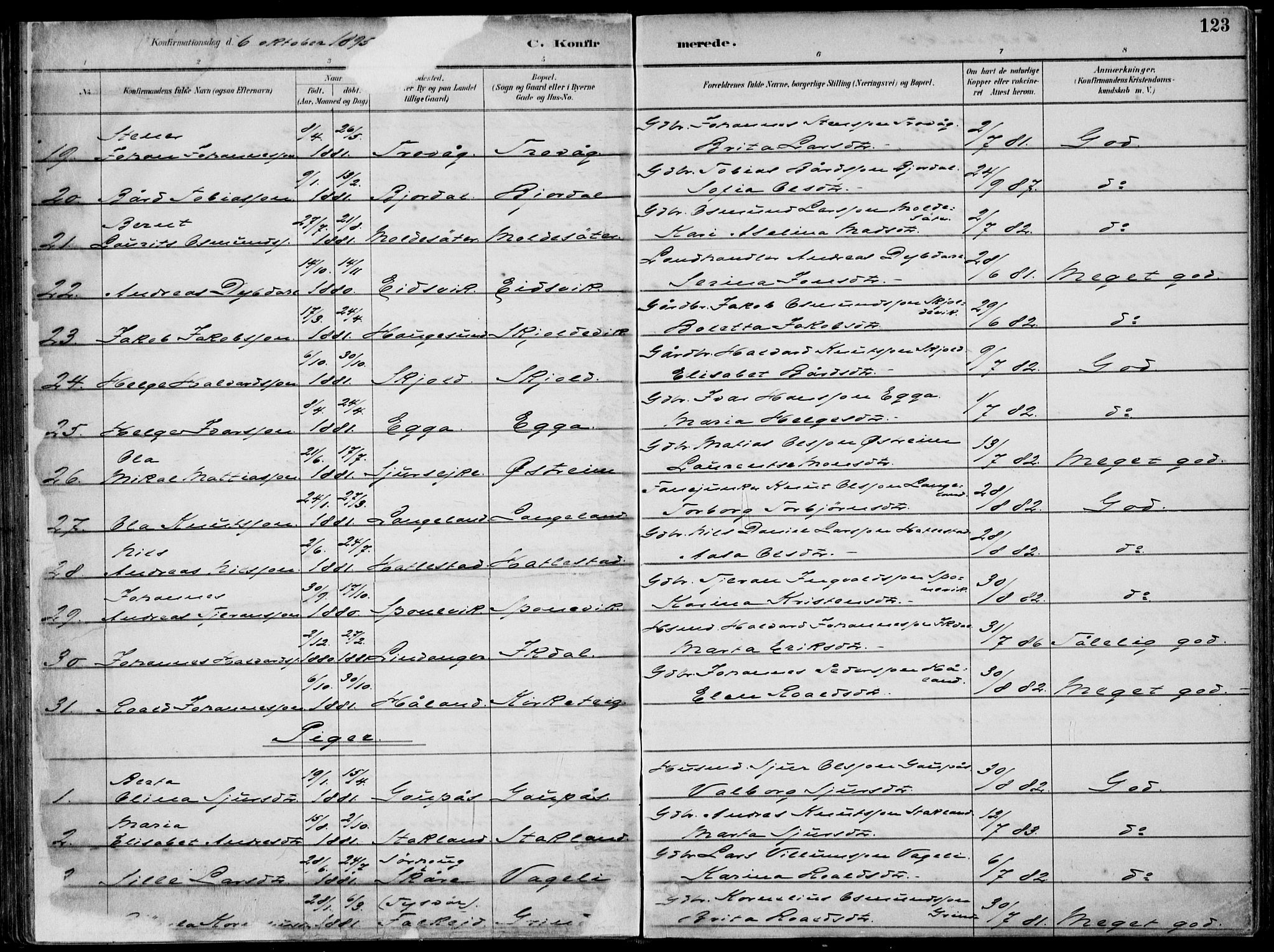 Skjold sokneprestkontor, AV/SAST-A-101847/H/Ha/Haa/L0010: Ministerialbok nr. A 10, 1882-1897, s. 123