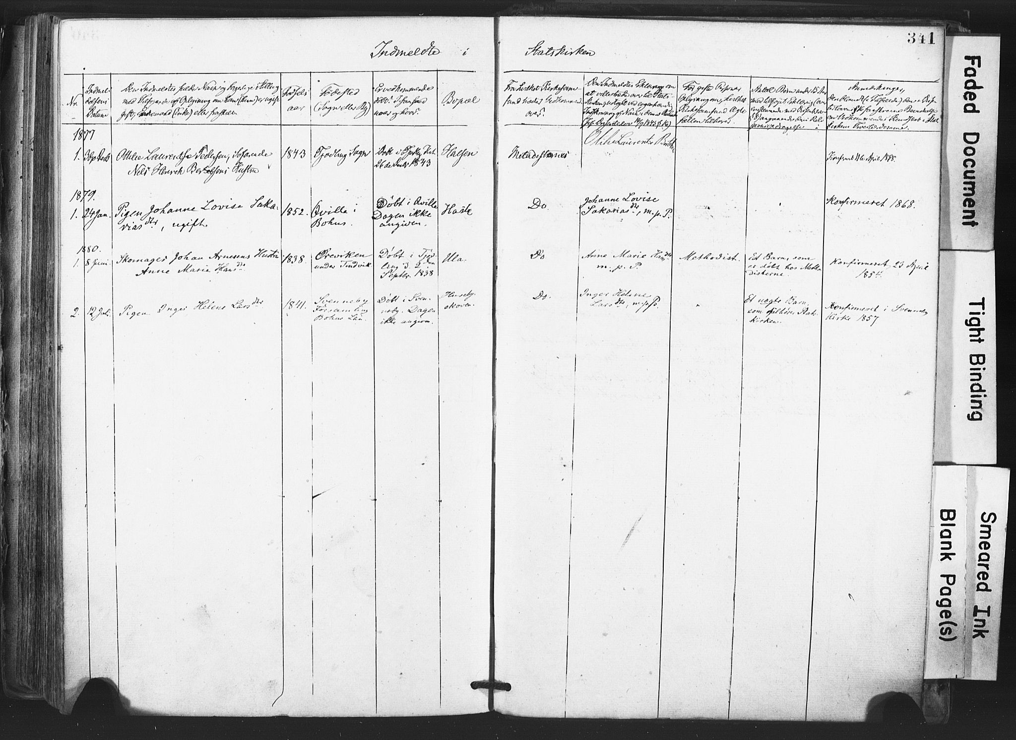 Tjølling kirkebøker, AV/SAKO-A-60/F/Fa/L0008: Ministerialbok nr. 8, 1877-1886, s. 341