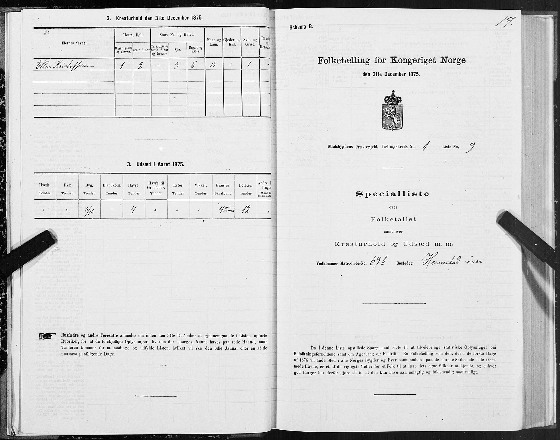 SAT, Folketelling 1875 for 1625P Stadsbygd prestegjeld, 1875, s. 1017