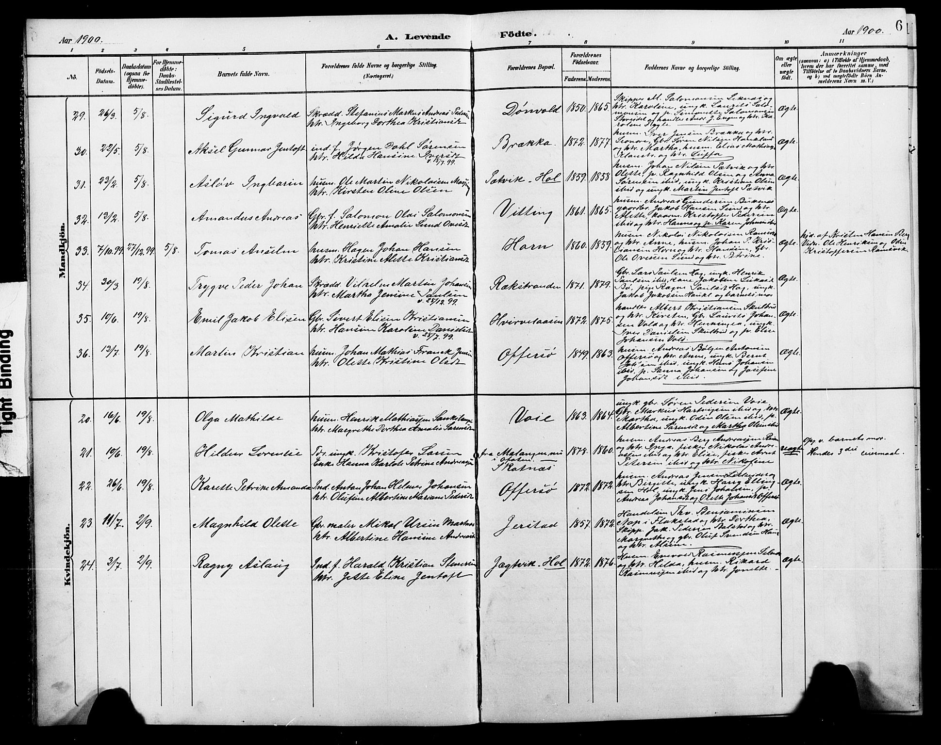 Ministerialprotokoller, klokkerbøker og fødselsregistre - Nordland, AV/SAT-A-1459/881/L1168: Klokkerbok nr. 881C05, 1900-1911, s. 6