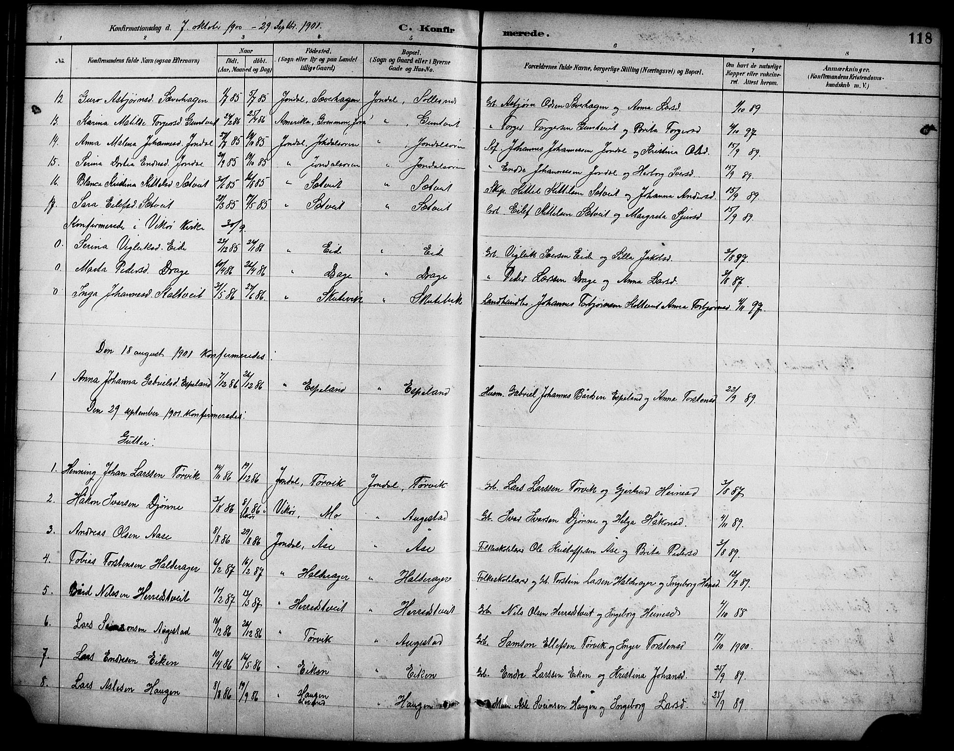 Ullensvang sokneprestembete, AV/SAB-A-78701/H/Hab: Klokkerbok nr. D 1, 1891-1908, s. 118