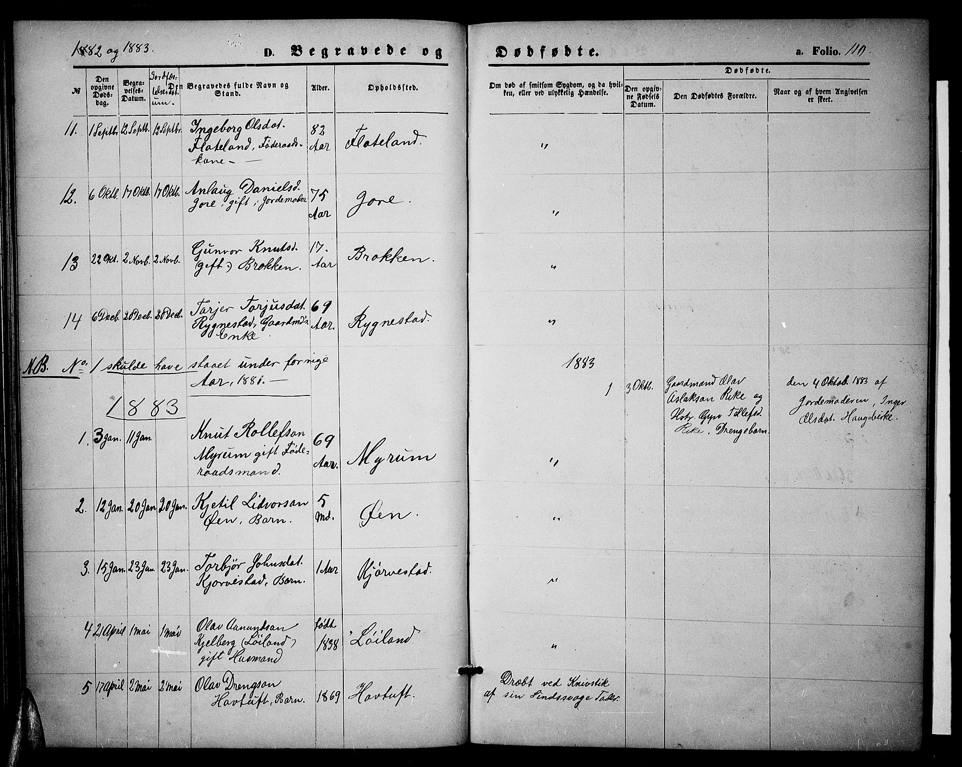 Valle sokneprestkontor, AV/SAK-1111-0044/F/Fb/Fbc/L0003: Klokkerbok nr. B 3, 1871-1890, s. 110