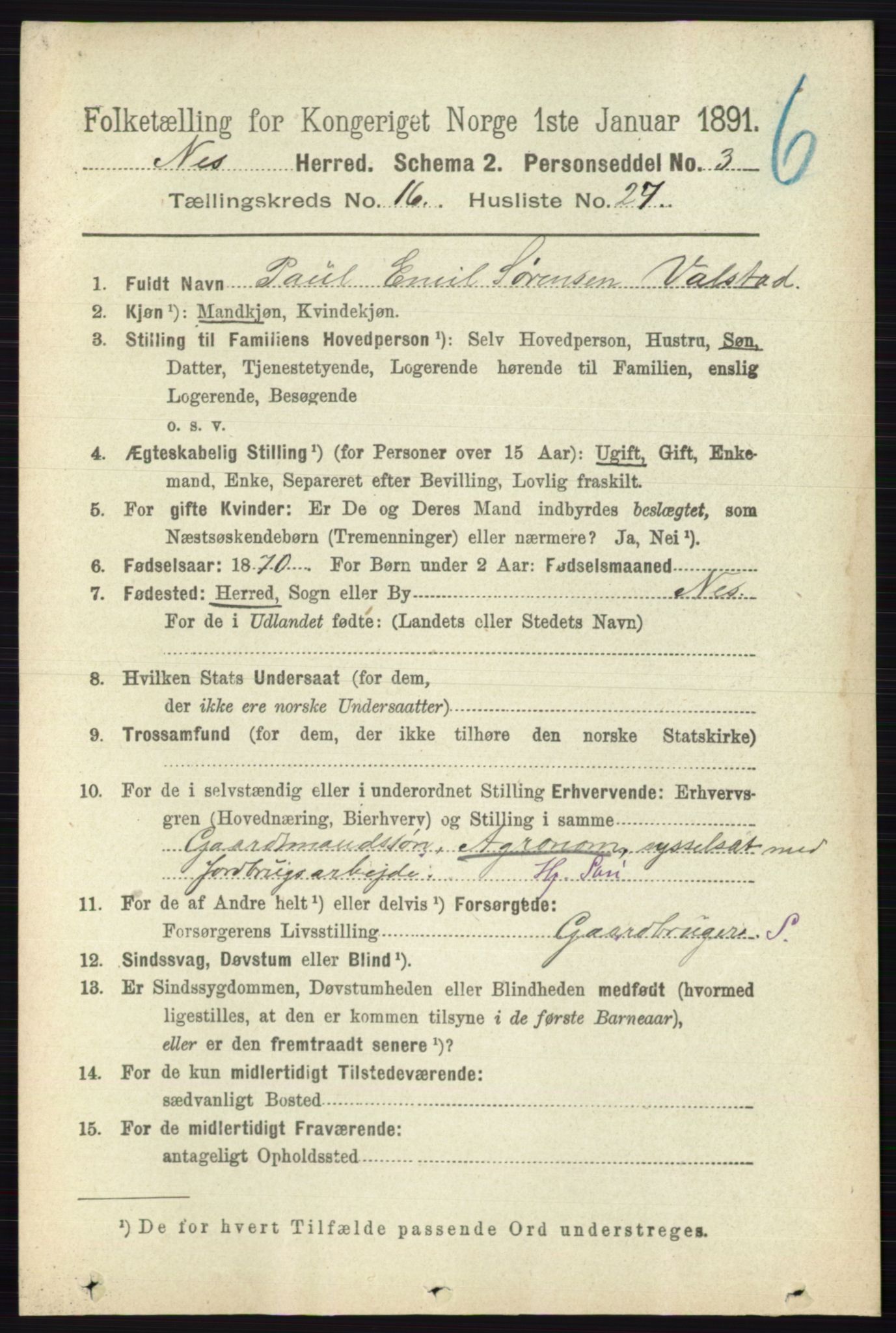 RA, Folketelling 1891 for 0236 Nes herred, 1891, s. 9712