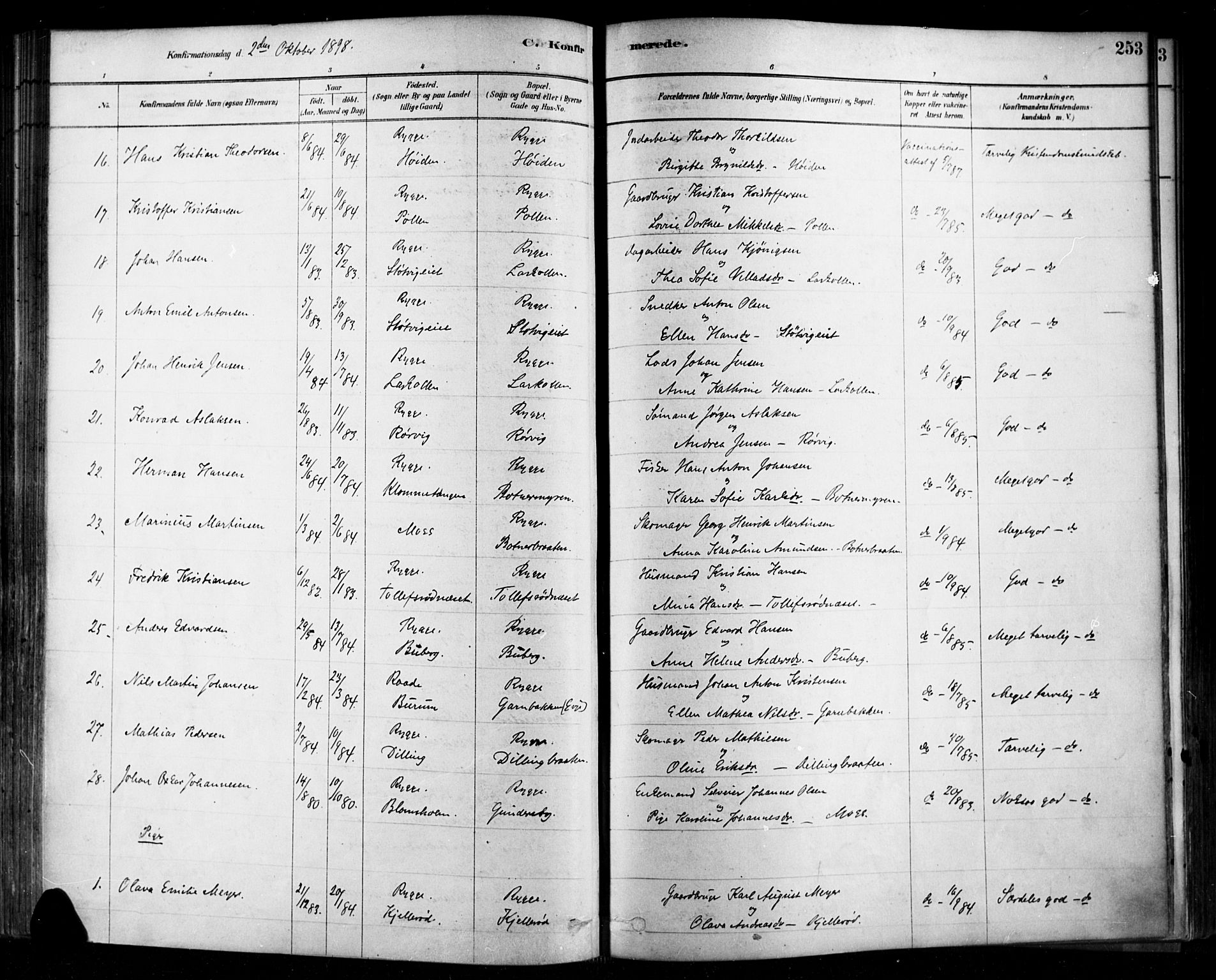 Rygge prestekontor Kirkebøker, AV/SAO-A-10084b/F/Fa/L0007: Ministerialbok nr. 7, 1878-1904, s. 253