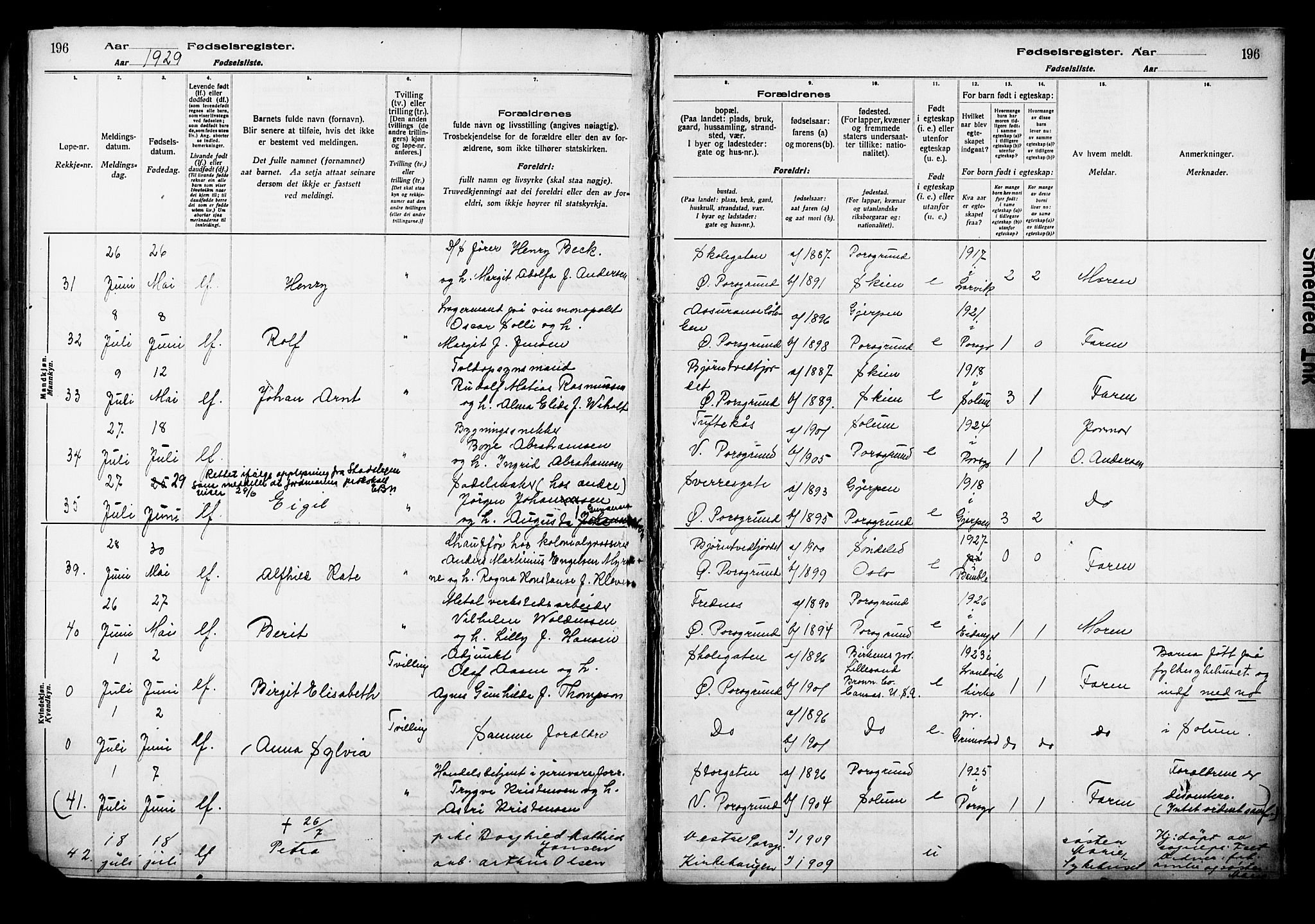 Porsgrunn kirkebøker , AV/SAKO-A-104/J/Ja/L0001: Fødselsregister nr. 1, 1916-1929, s. 196