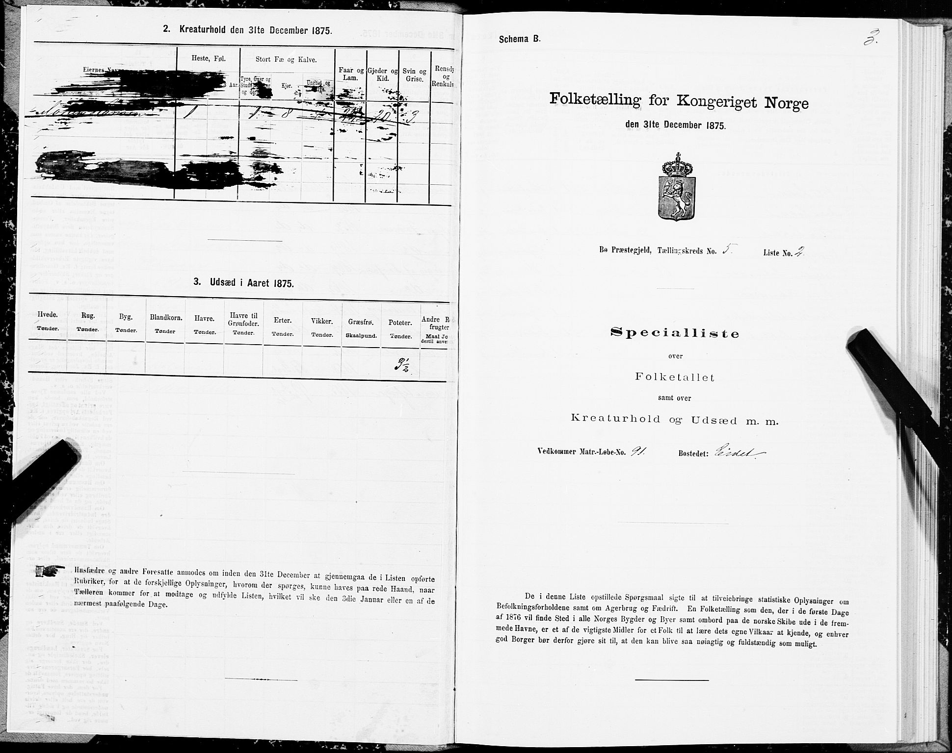 SAT, Folketelling 1875 for 1867P Bø prestegjeld, 1875, s. 3003