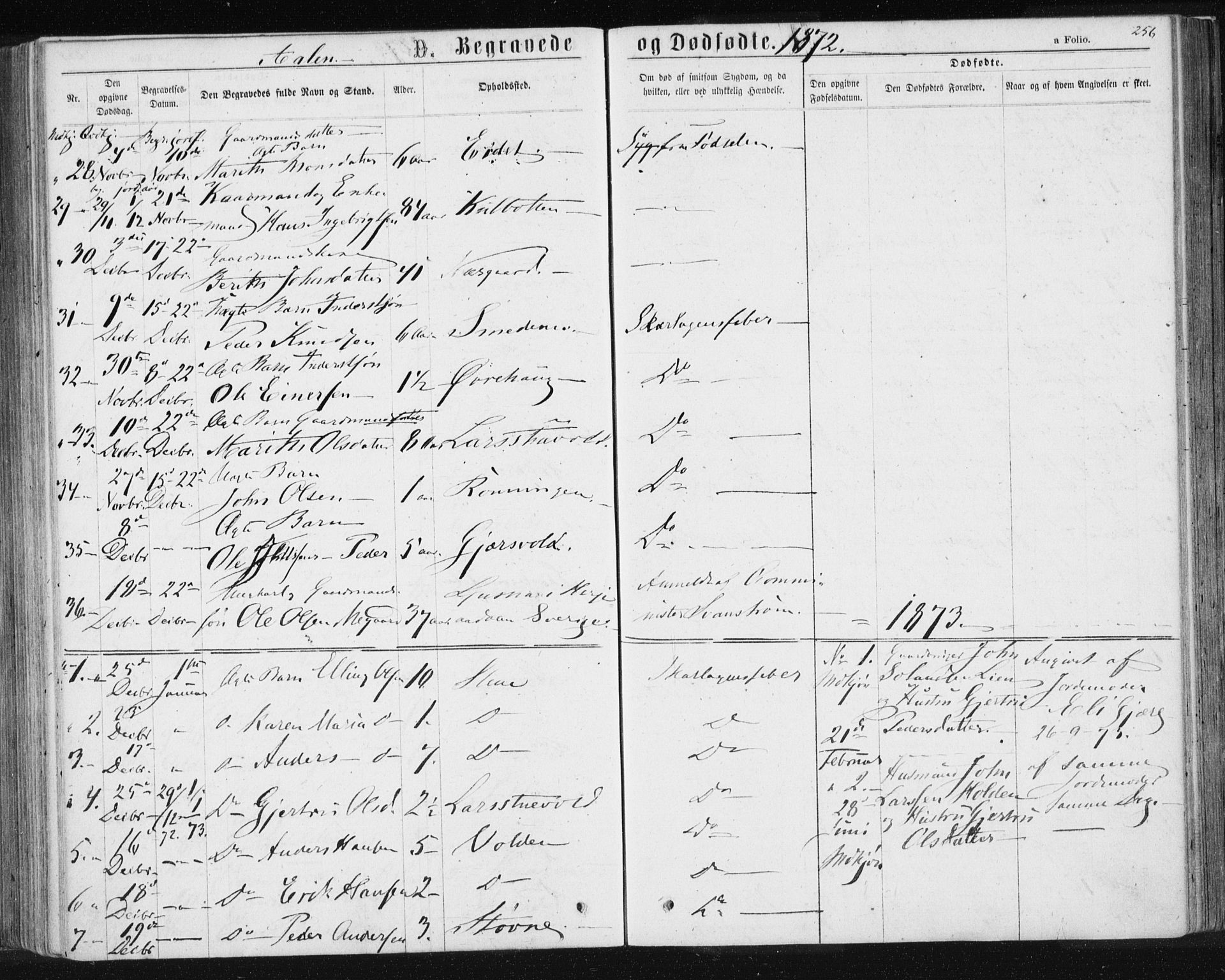 Ministerialprotokoller, klokkerbøker og fødselsregistre - Sør-Trøndelag, SAT/A-1456/685/L0971: Ministerialbok nr. 685A08 /3, 1870-1879, s. 256