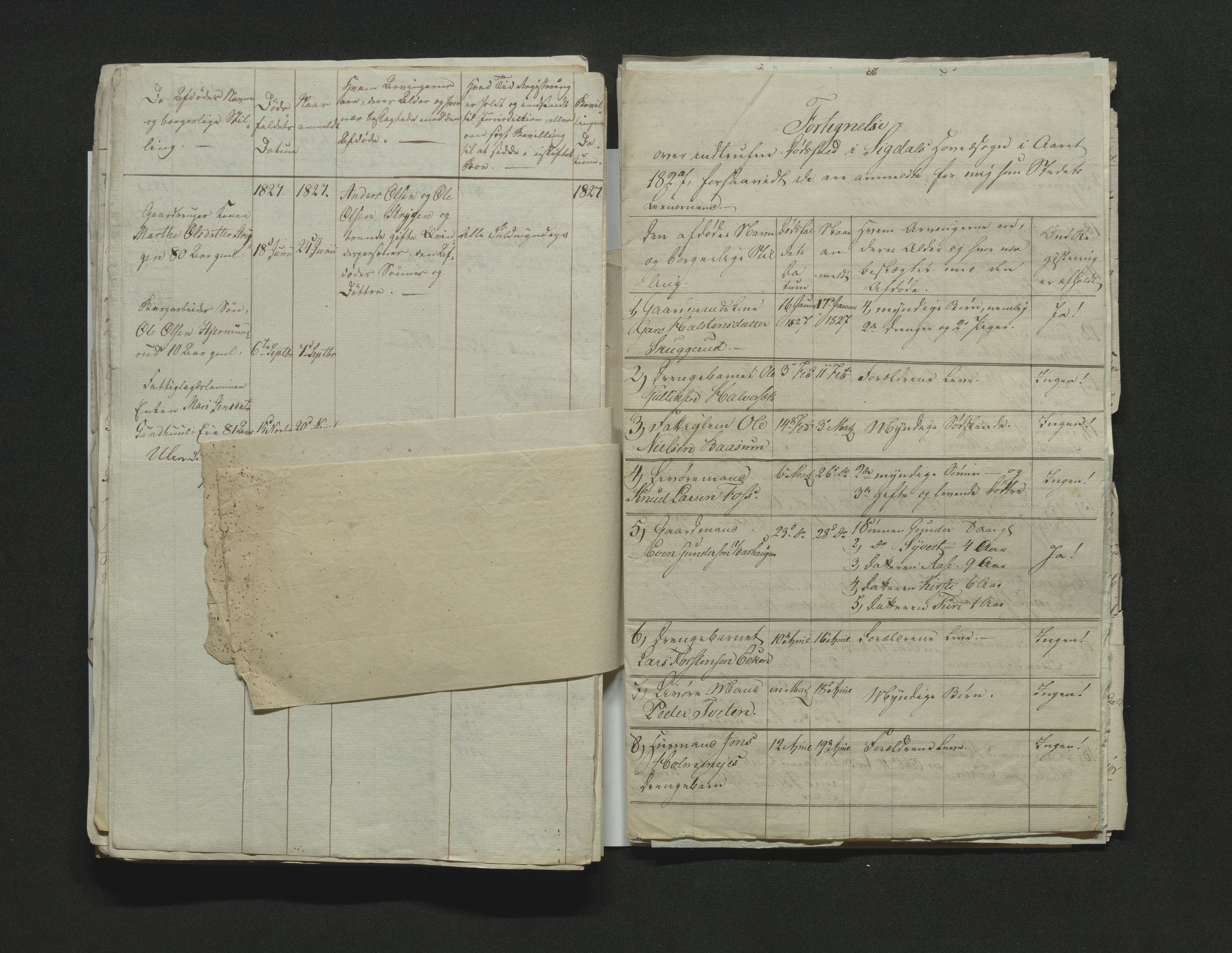 Eiker, Modum og Sigdal sorenskriveri, AV/SAKO-A-123/H/Ha/Hab/L0002: Dødsfallsmeldinger, 1823-1829, s. 211
