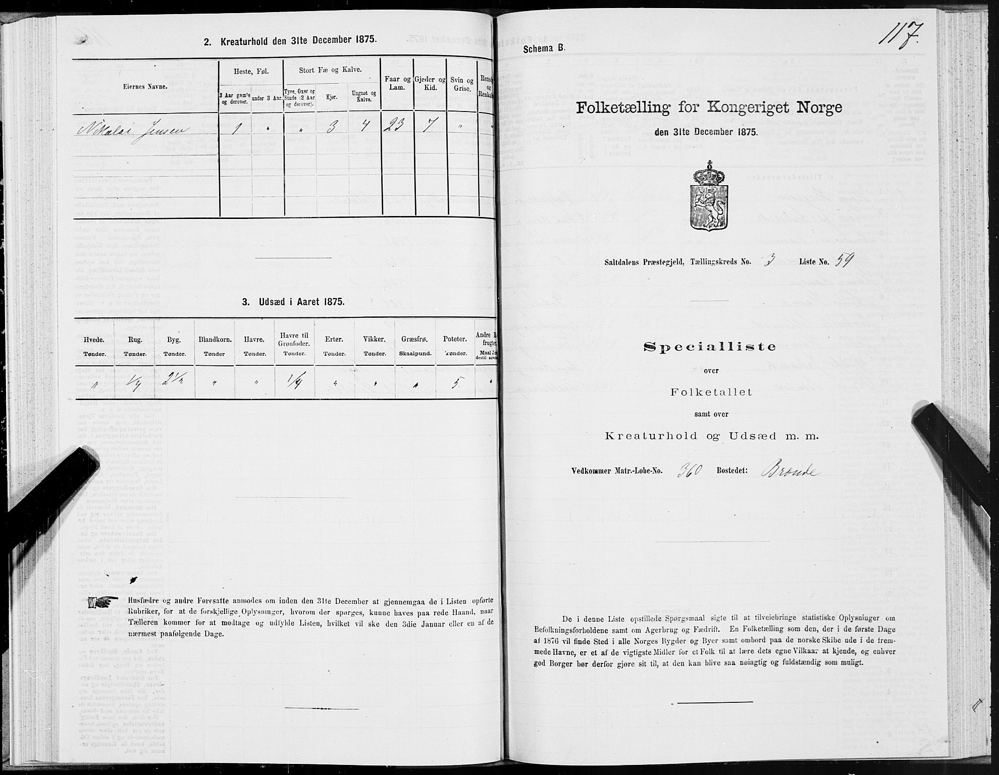 SAT, Folketelling 1875 for 1840P Saltdal prestegjeld, 1875, s. 2117