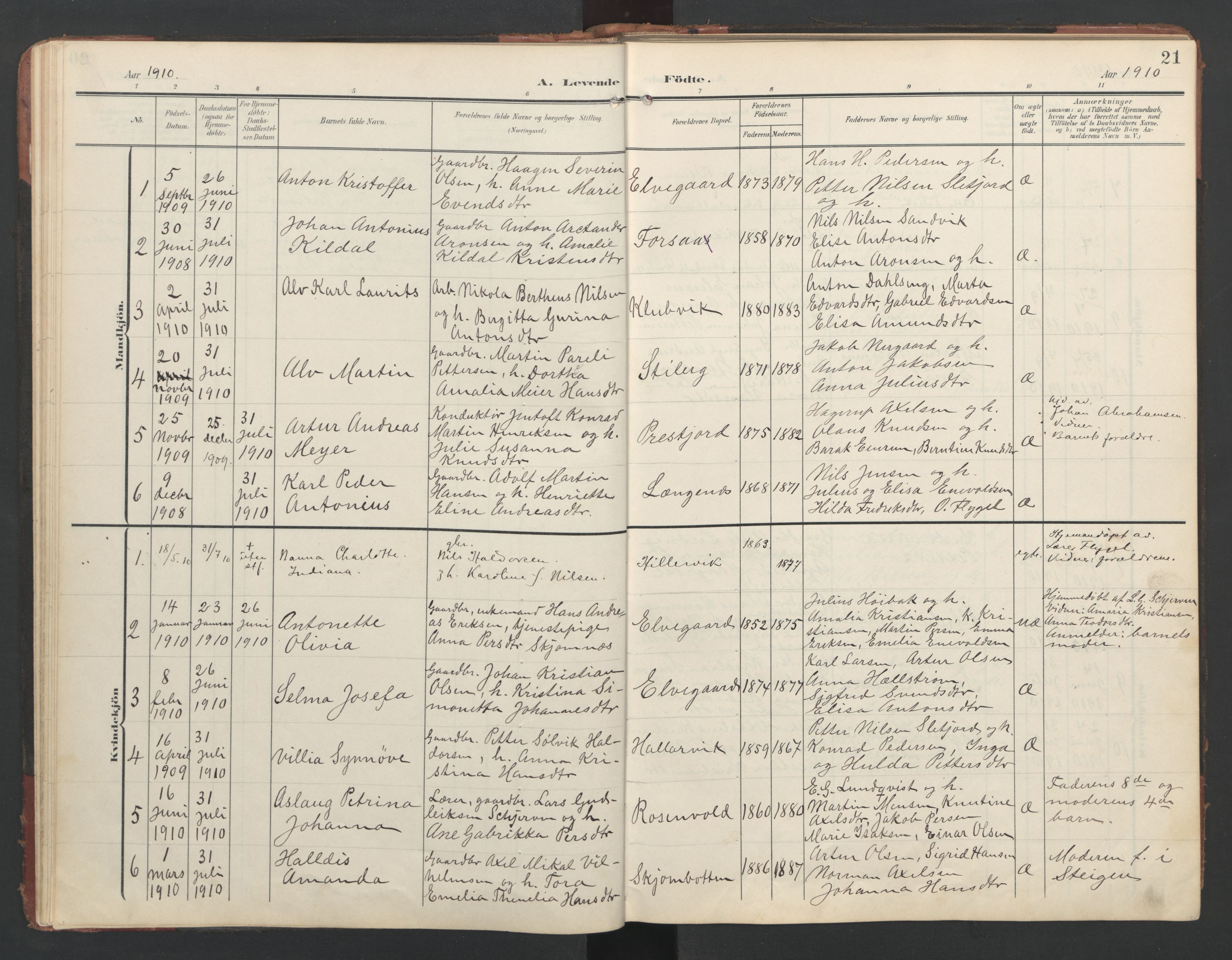 Ministerialprotokoller, klokkerbøker og fødselsregistre - Nordland, AV/SAT-A-1459/867/L0966: Klokkerbok nr. 867C01, 1904-1952, s. 21