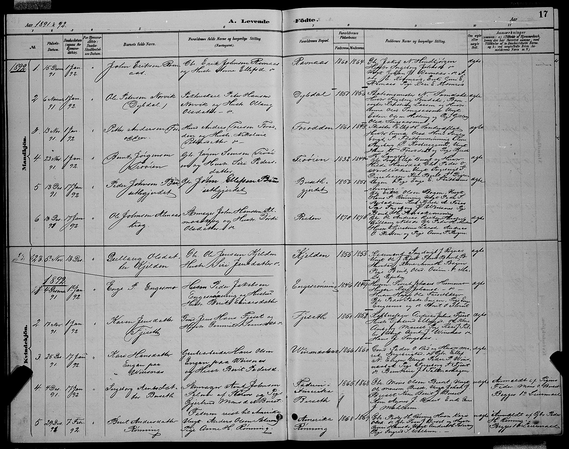 Ministerialprotokoller, klokkerbøker og fødselsregistre - Sør-Trøndelag, SAT/A-1456/688/L1028: Klokkerbok nr. 688C03, 1889-1899, s. 17