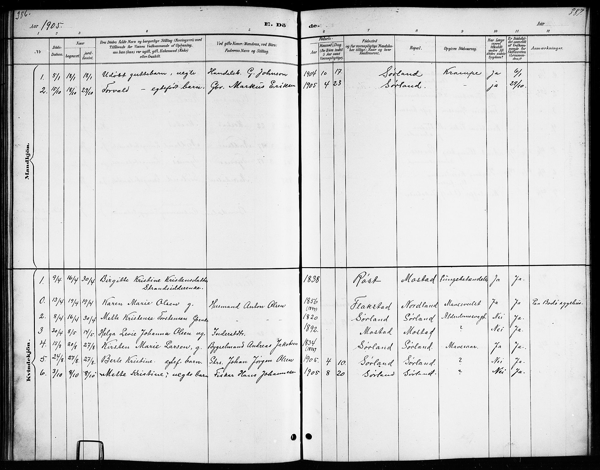 Ministerialprotokoller, klokkerbøker og fødselsregistre - Nordland, AV/SAT-A-1459/807/L0123: Klokkerbok nr. 807C01, 1884-1910, s. 386-387