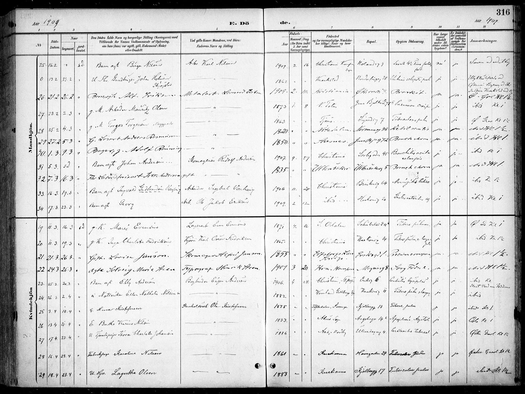 Kampen prestekontor Kirkebøker, AV/SAO-A-10853/F/Fa/L0009: Ministerialbok nr. I 9, 1899-1911, s. 316