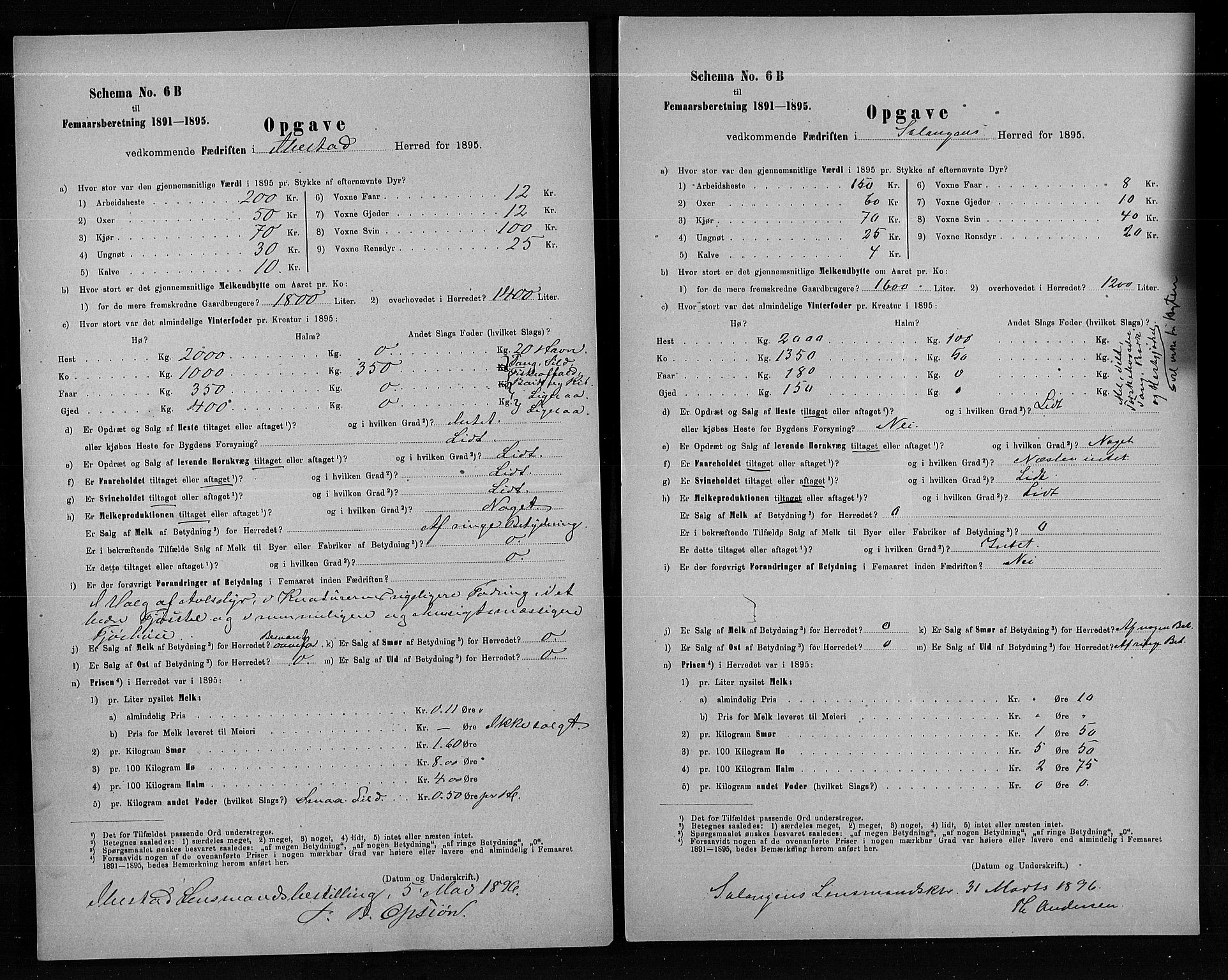 Statistisk sentralbyrå, Næringsøkonomiske emner, Generelt - Amtmennenes femårsberetninger, AV/RA-S-2233/F/Fa/L0080: --, 1895, s. 243