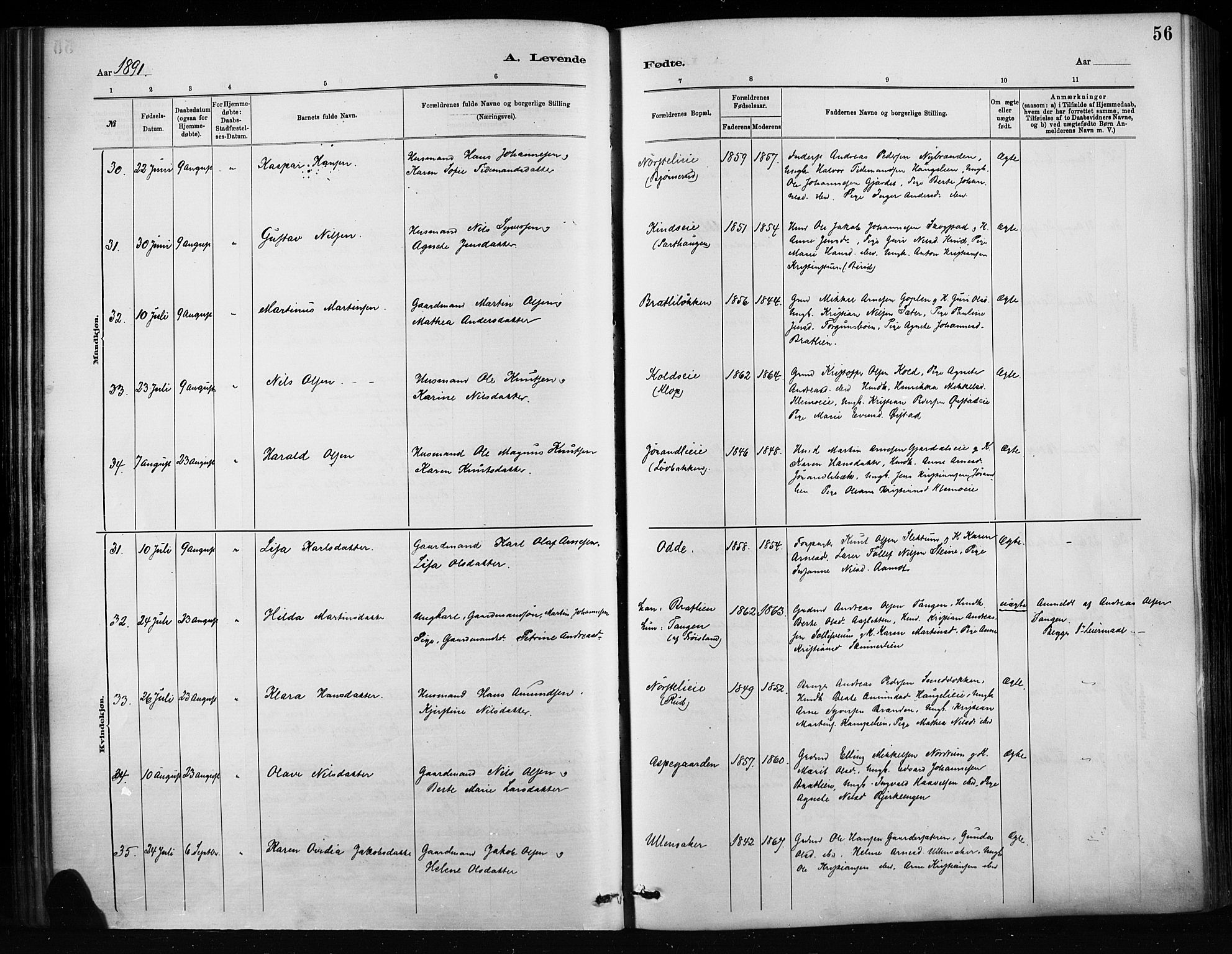 Nordre Land prestekontor, SAH/PREST-124/H/Ha/Haa/L0004: Ministerialbok nr. 4, 1882-1896, s. 56