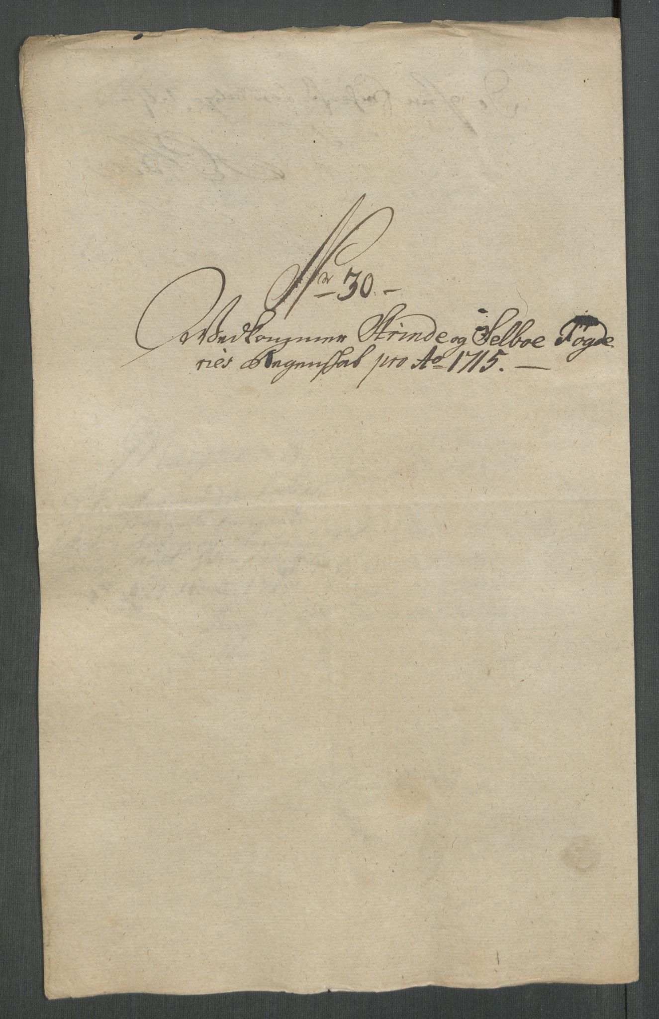 Rentekammeret inntil 1814, Reviderte regnskaper, Fogderegnskap, AV/RA-EA-4092/R61/L4115: Fogderegnskap Strinda og Selbu, 1715-1716, s. 210