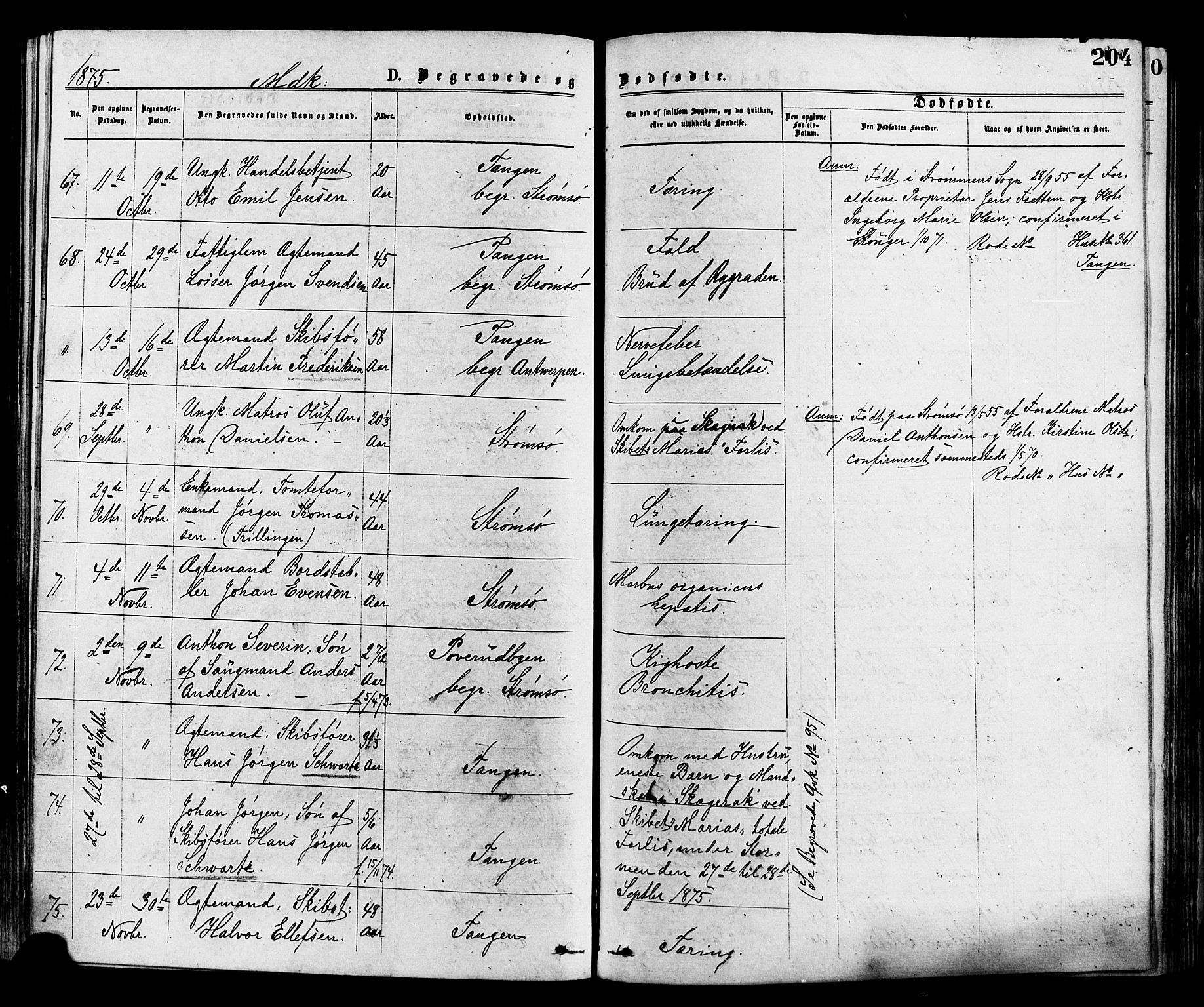 Strømsø kirkebøker, AV/SAKO-A-246/F/Fa/L0019: Ministerialbok nr. I 19, 1874-1877, s. 204