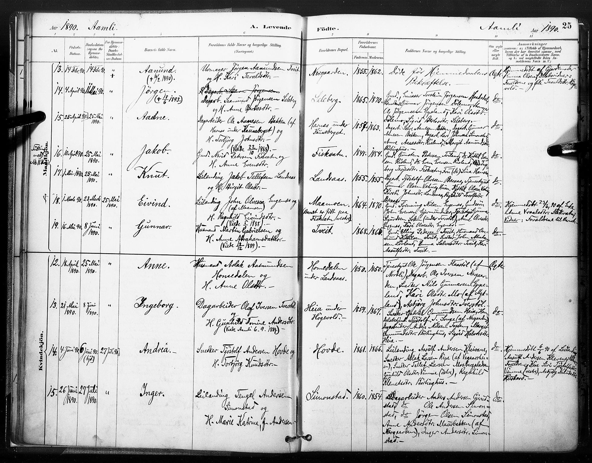 Åmli sokneprestkontor, AV/SAK-1111-0050/F/Fa/Fac/L0010: Ministerialbok nr. A 10 /1, 1885-1899, s. 25