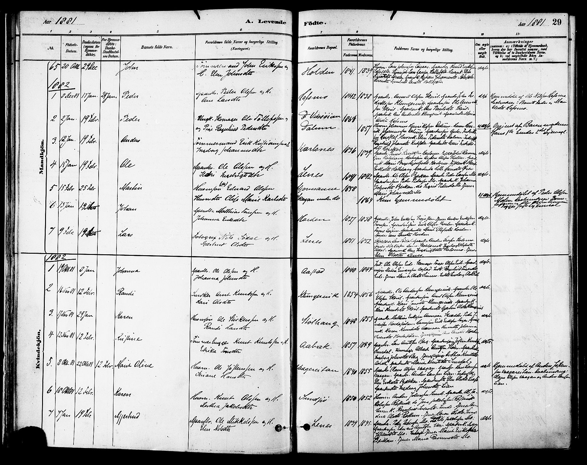 Ministerialprotokoller, klokkerbøker og fødselsregistre - Sør-Trøndelag, AV/SAT-A-1456/630/L0496: Ministerialbok nr. 630A09, 1879-1895, s. 29